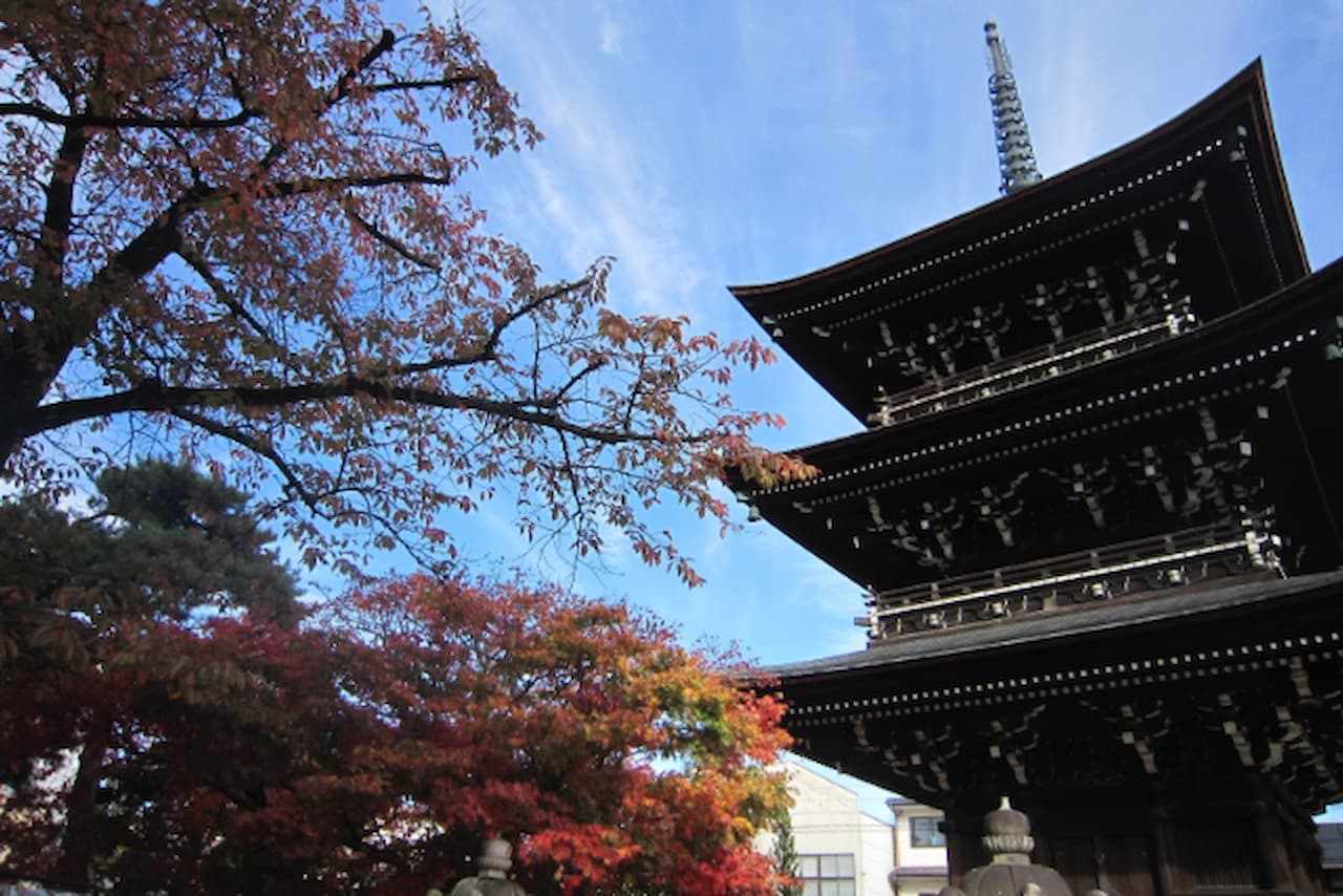 Ishikawa White Ring Bus Tour - تصویر 2