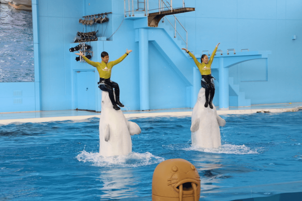 Yokohama Hakkeijima Sea Paradise Ticket - تصویر 7