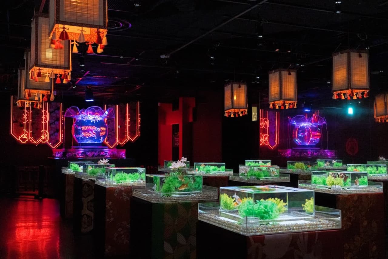 Art Aquarium Museum GINZA Ticket - تصویر 6