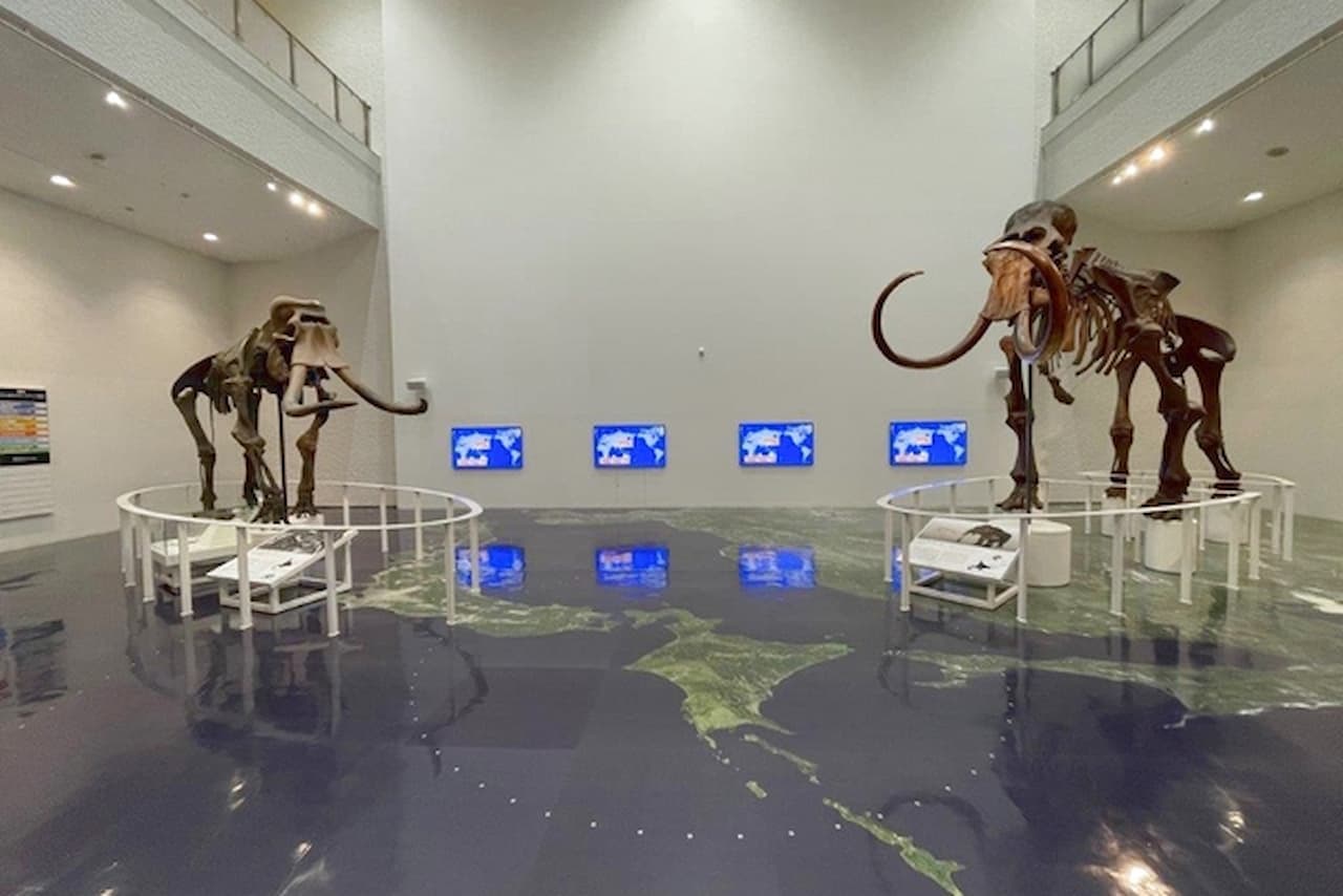Hokkaido Museum Ticket - تصویر اصلی
