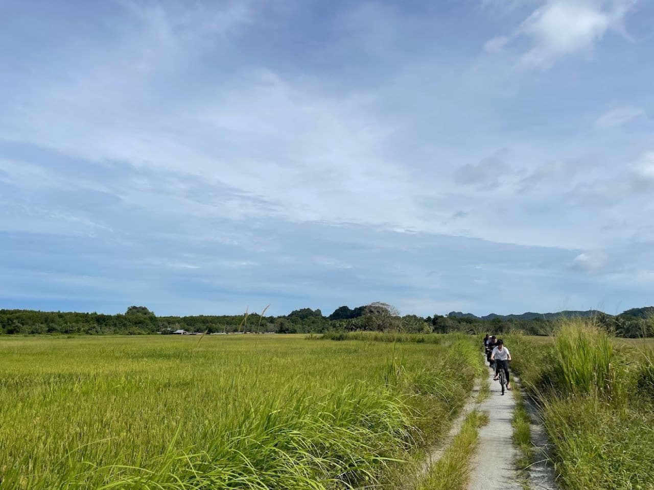 Langkawi Countryside Biking Tour - تصویر 2