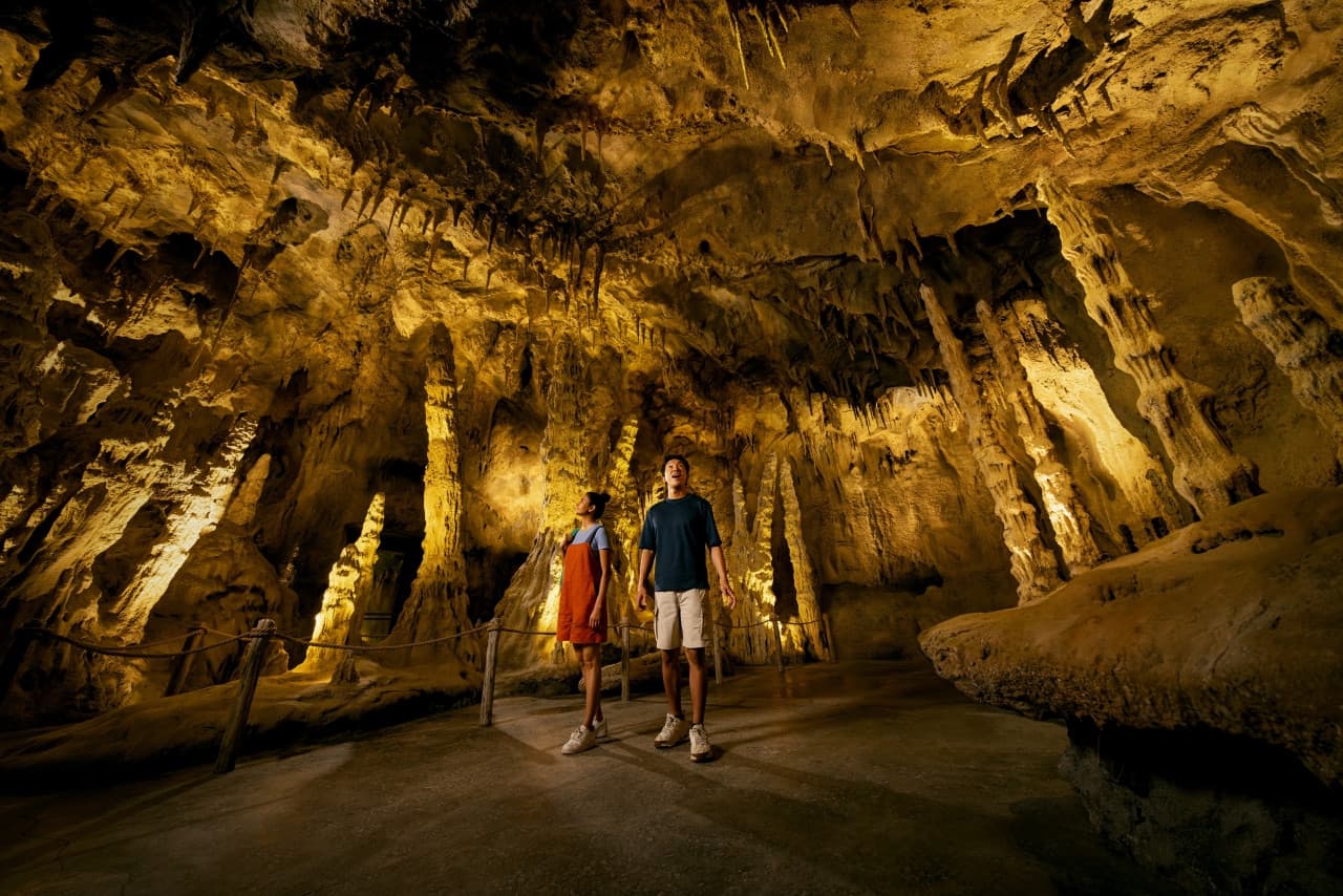 Mandai Destination Pass: Up to 2 Attractions in 1 Day - تصویر 10