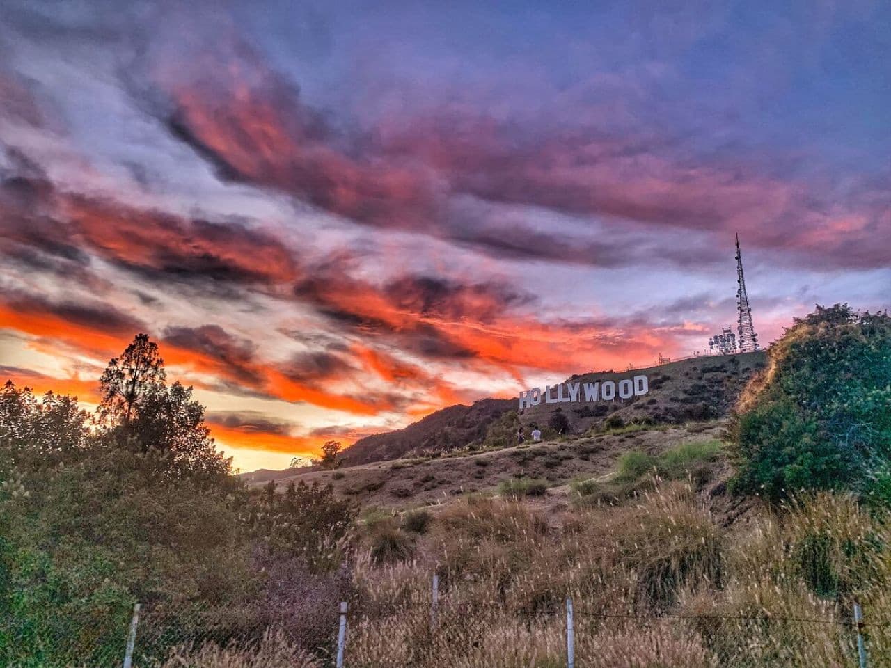 Go City Los Angeles All-Inclusive Pass: Save up to 50% on Attractions - تصویر 8