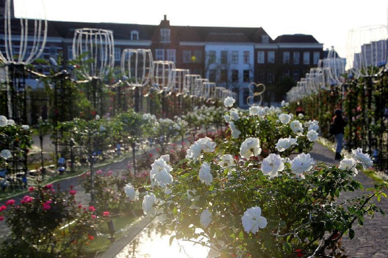 Huis Ten Bosch Theme Park - تصویر 12