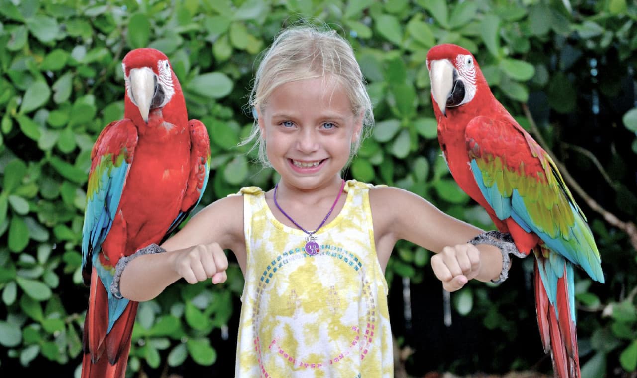 Go City Orlando All-Inclusive Pass: Save up to 50% on Attractions - تصویر 21