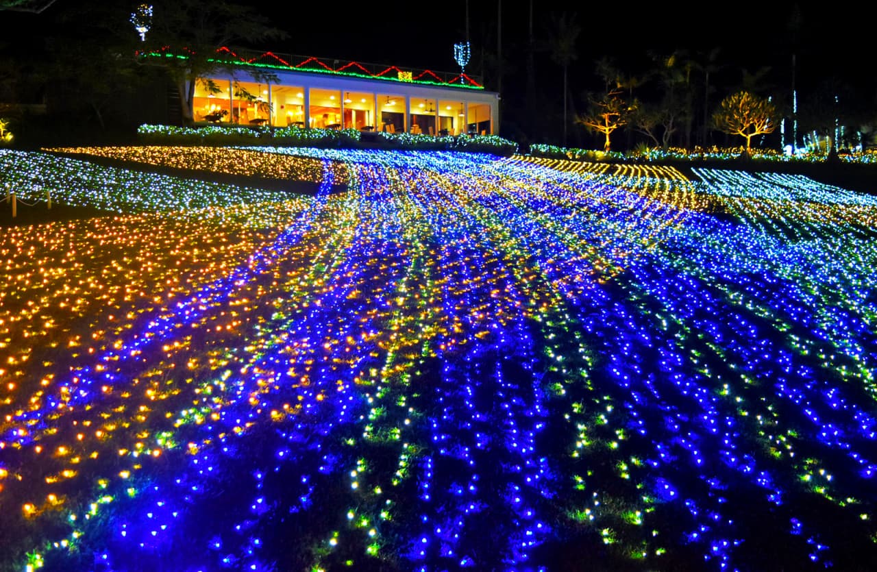 Okinawa Southeast Botanical Gardens - تصویر 19