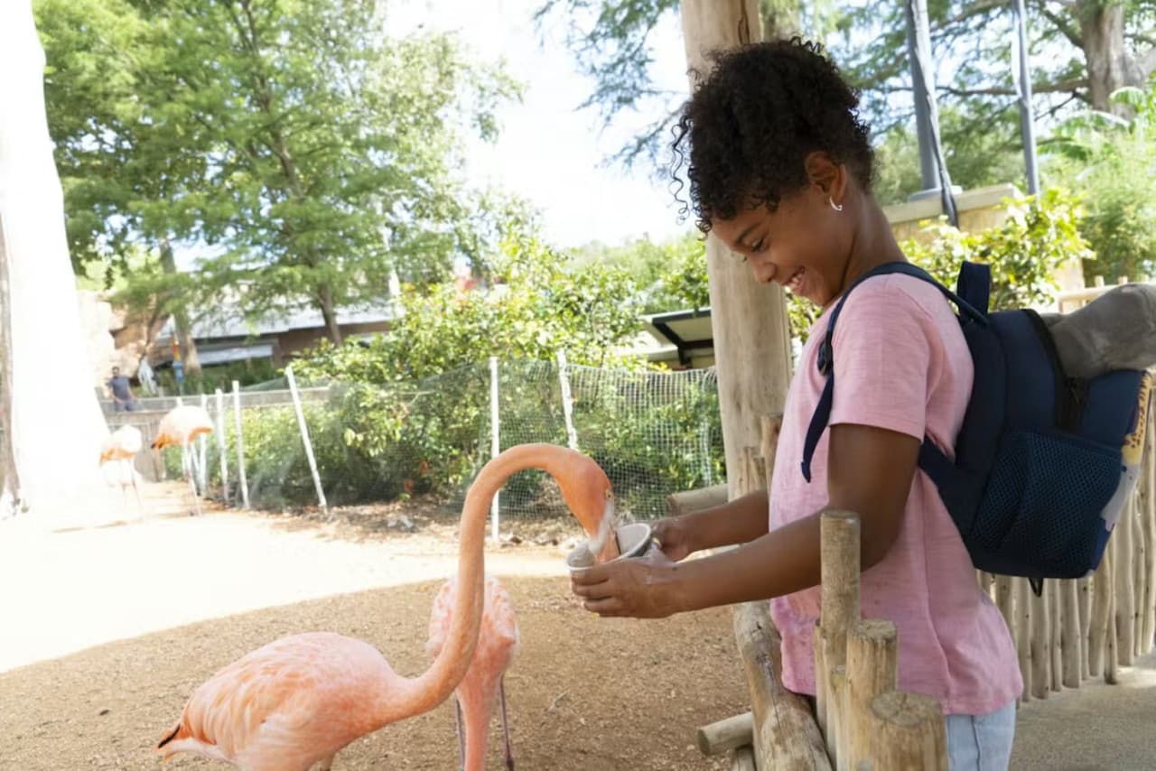 San Antonio Zoo Ticket - تصویر 7