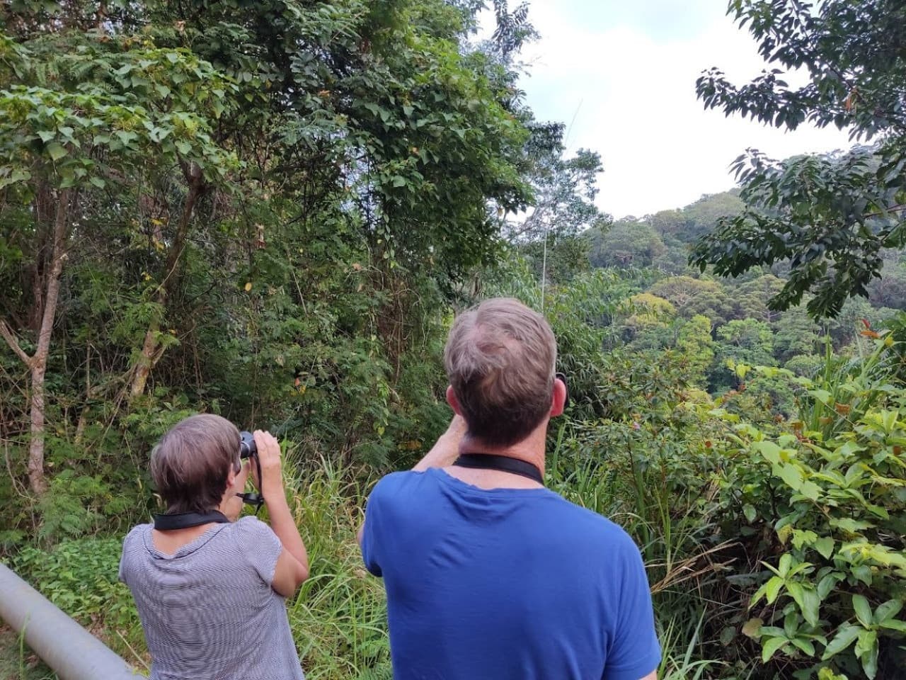 Langkawi Birdwatching Experience Tour - Half Day - تصویر 6