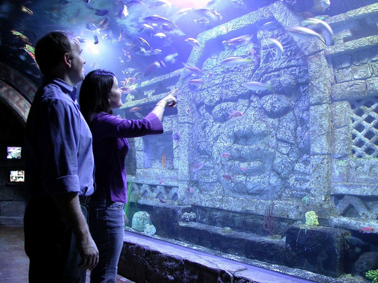 Downtown Aquarium Houston Ticket - تصویر اصلی