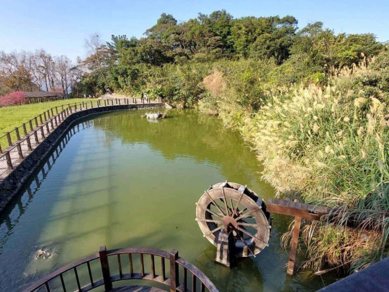 Pinglin Tea Culture and Maokong Full-Day Tour from Taipei - تصویر 15