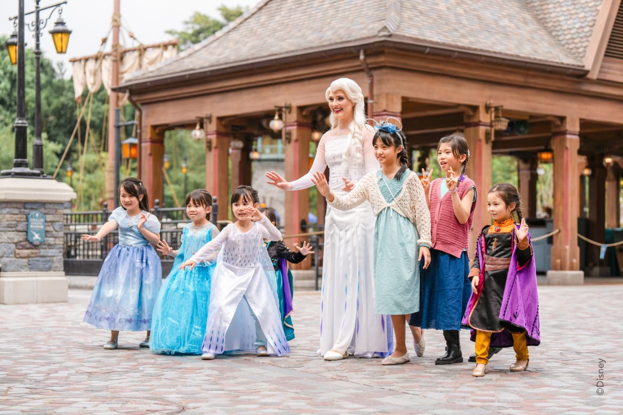 Hong Kong Disneyland Disney Premier Access Ticket - تصویر 21