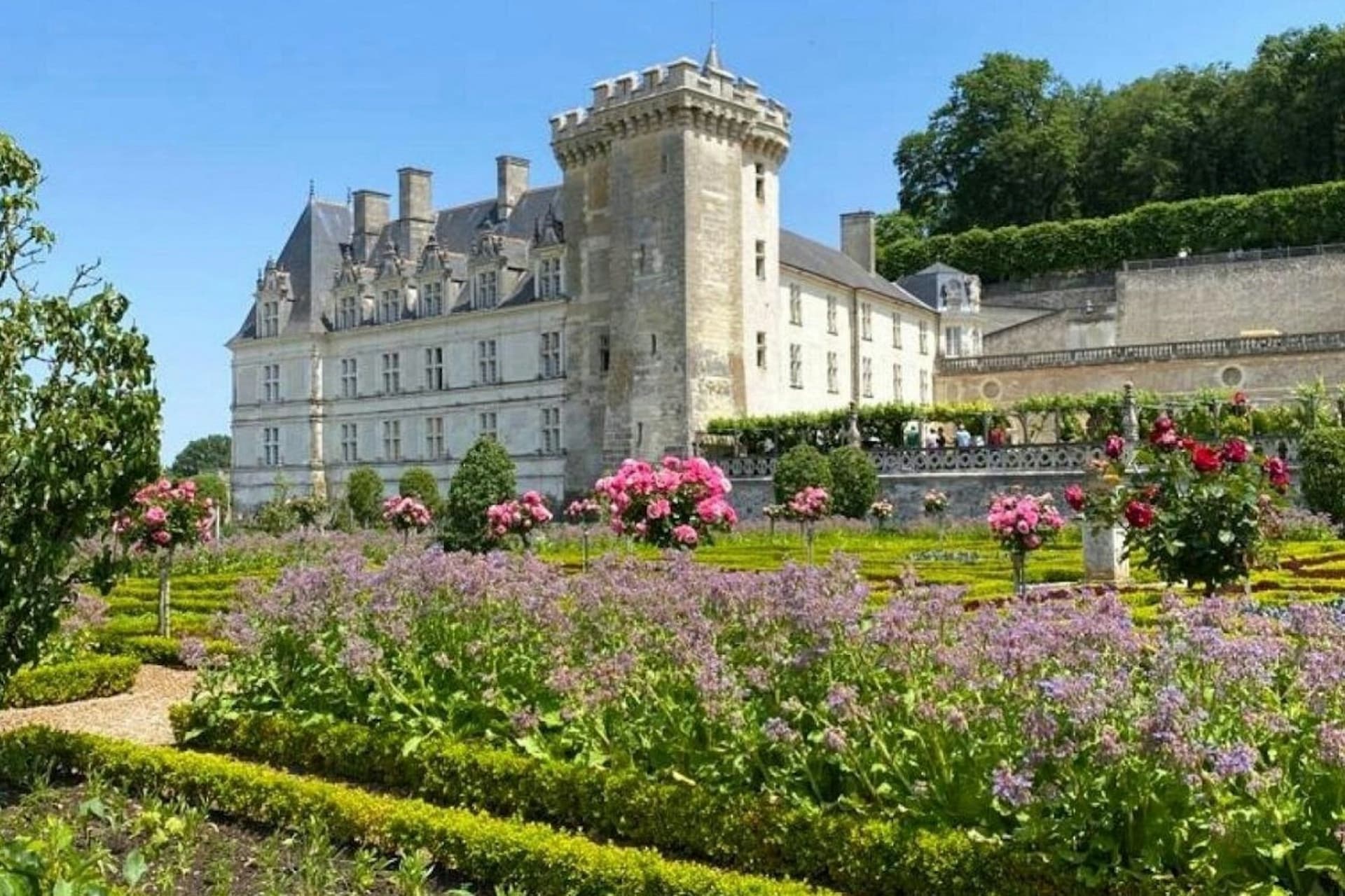 Chateau d'Azay-le-Rideau & Gardens of Villandry: Guided Trip from Tours - تصویر اصلی