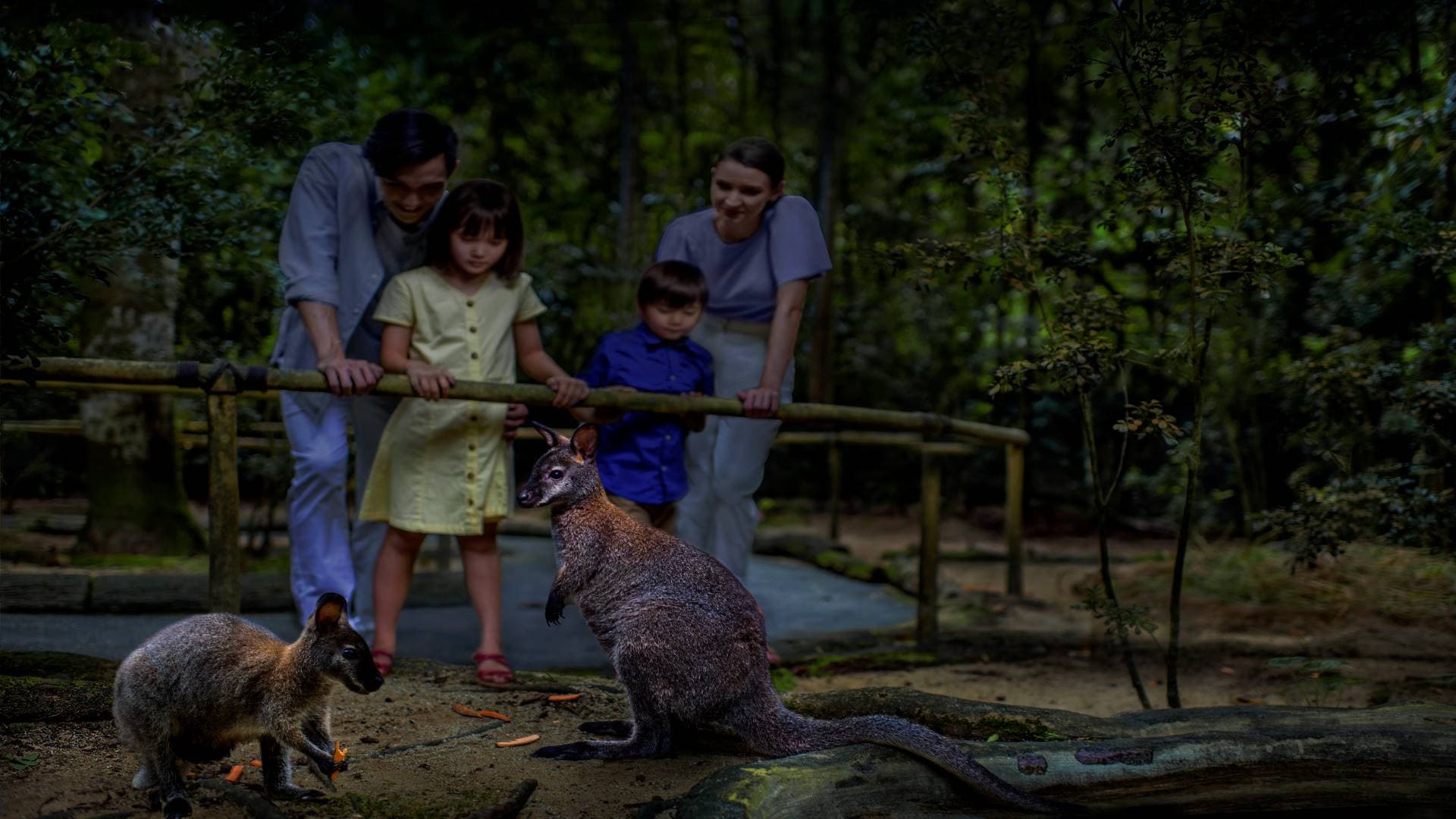 Mandai Destination Pass: Visit Up to 6 Attractions in 1 or 5 Days - تصویر 15