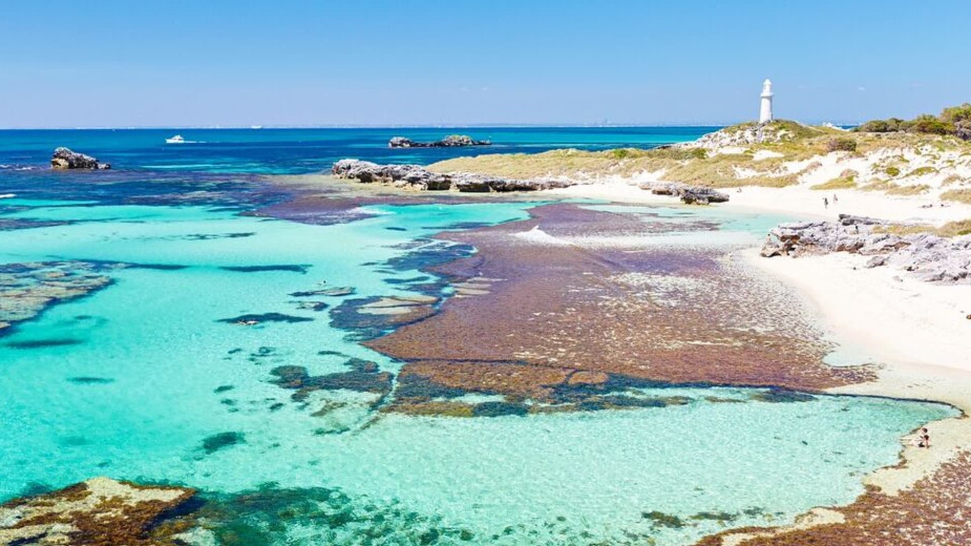 Rottnest Island Fortress Adventure Segway Tour with Round Trip SeaLink Ferry Transfer - تصویر 3