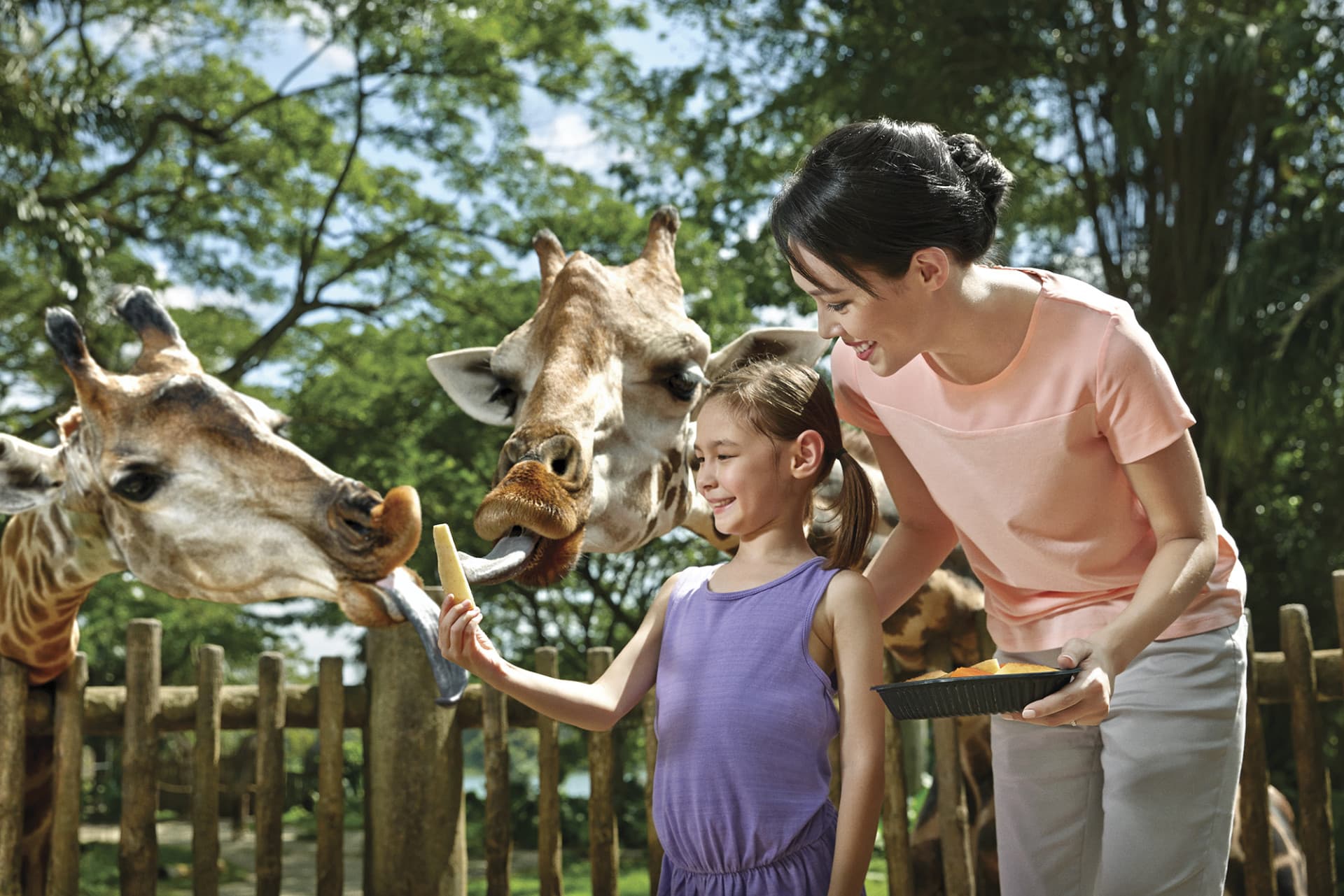 Go City Singapore Essentials Pass: 3 Attractions - تصویر 11