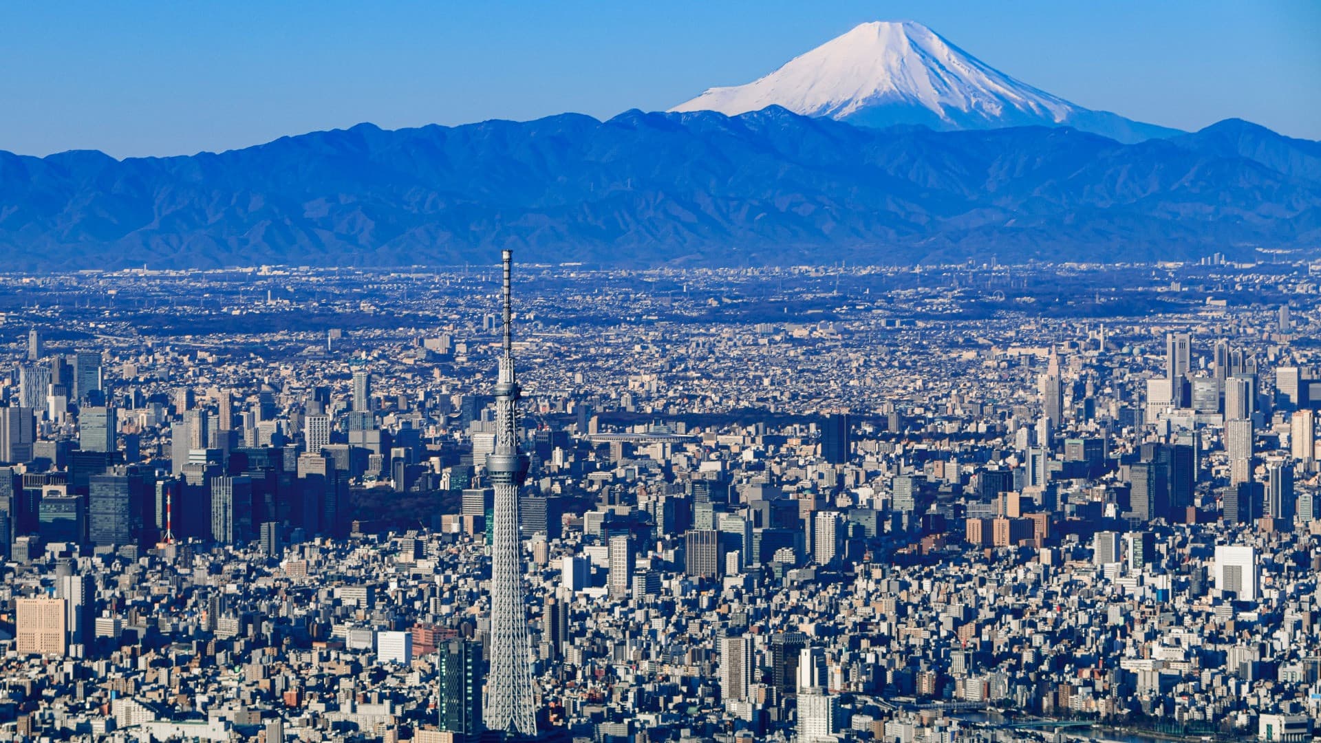 Tokyo Skytree Observation Deck Ticket - تصویر 4