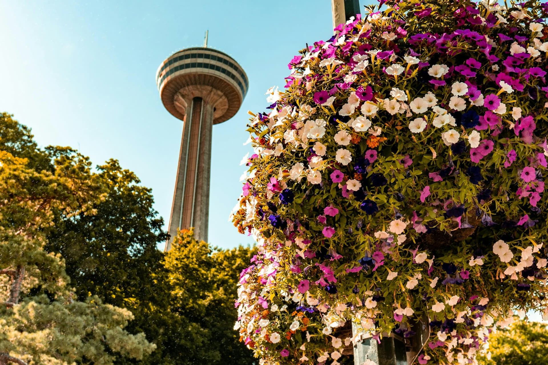Niagara Falls(US & Canada): Guided Tour with Boat Cruise, Cave of the Winds & Skylon Tower - تصویر اصلی