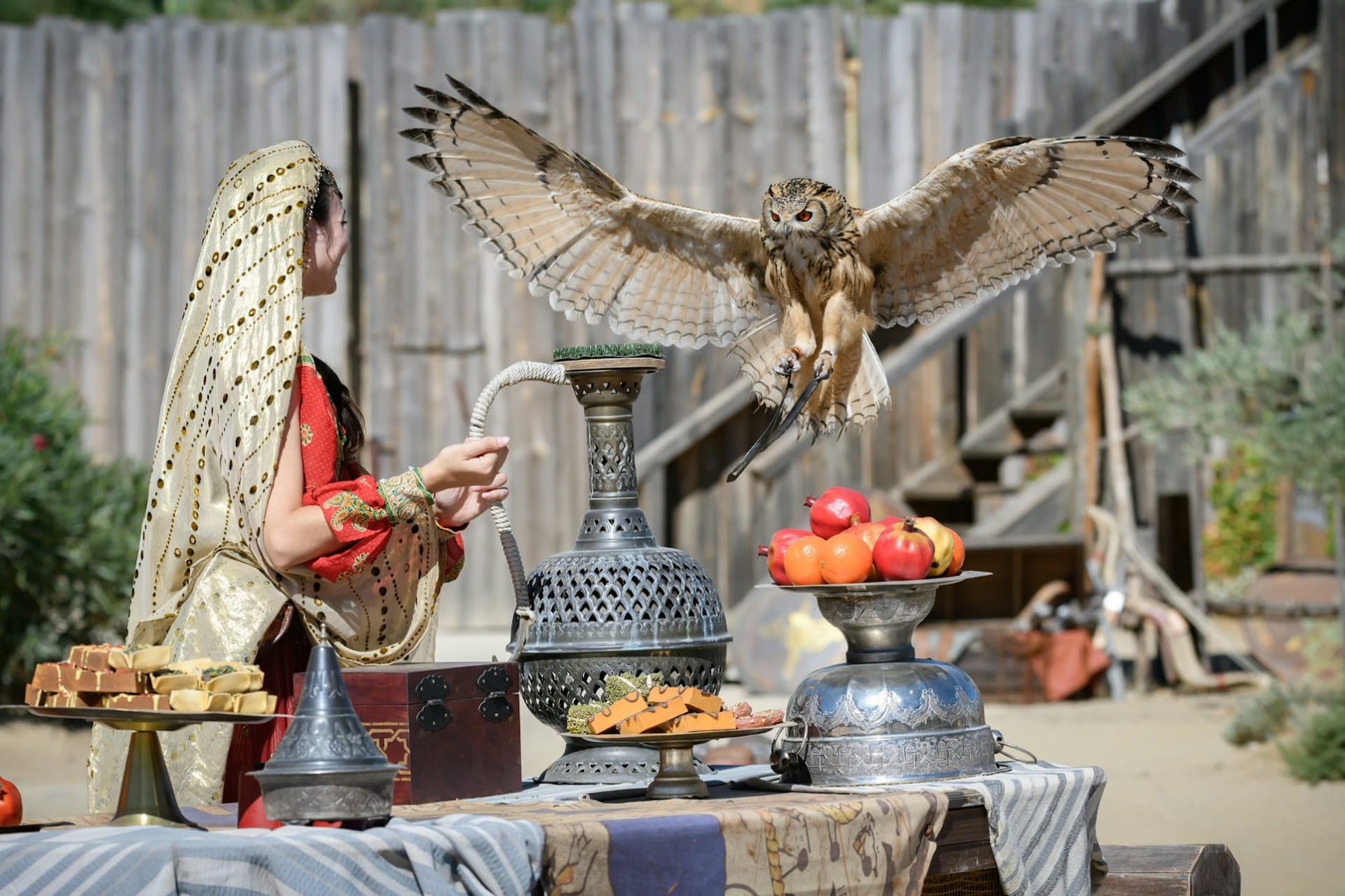 Puy du Fou España Ticket - تصویر 5