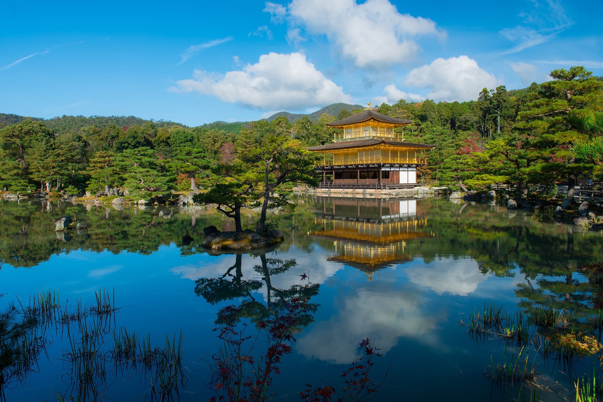 Kyoto and Nara Tour from Osaka - تصویر 5
