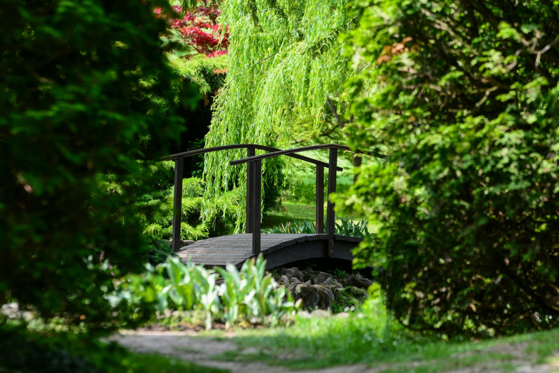 Parco Giardino Sigurtà Ticket - تصویر 6