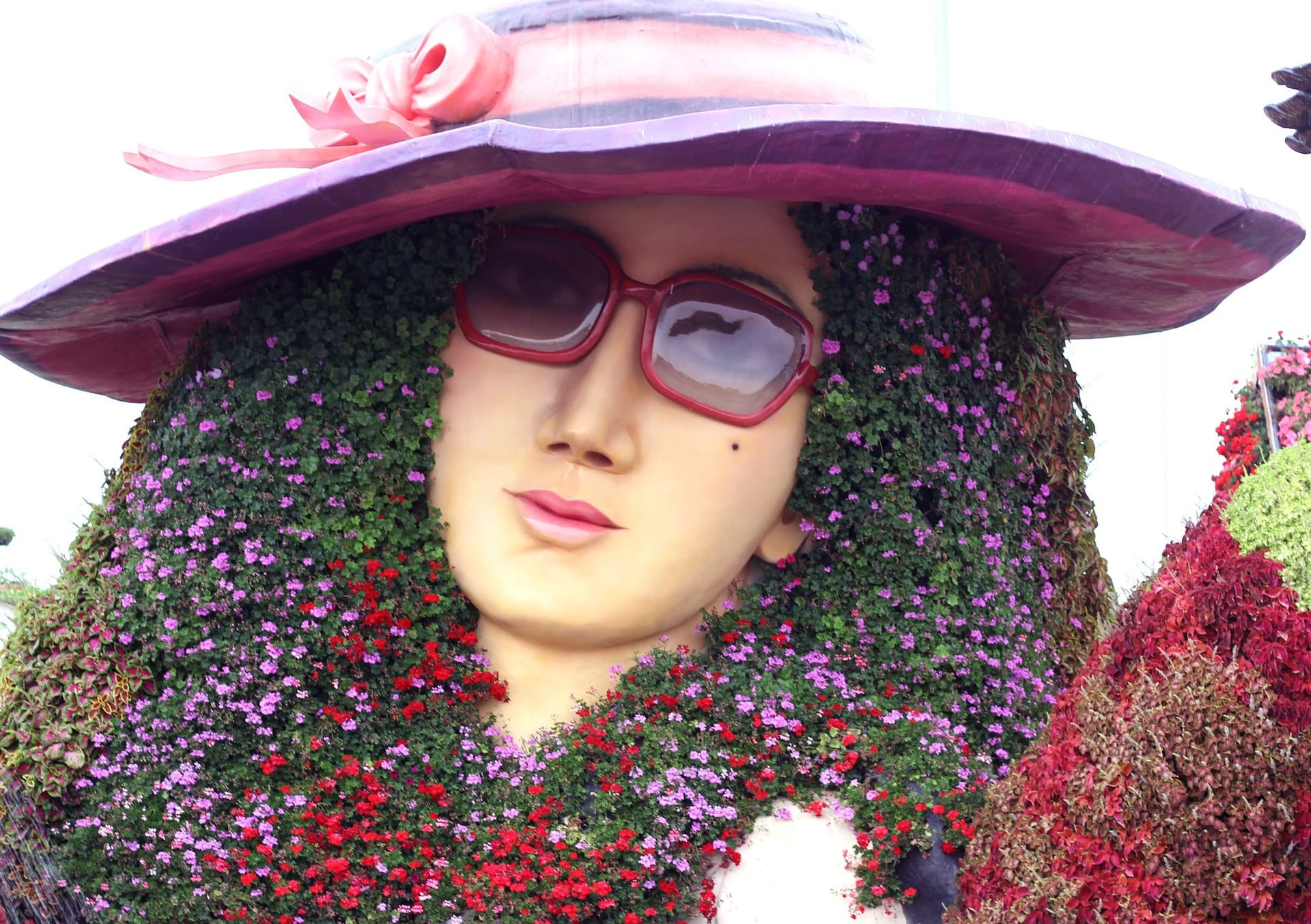 Dubai Miracle Garden Ticket - تصویر 9