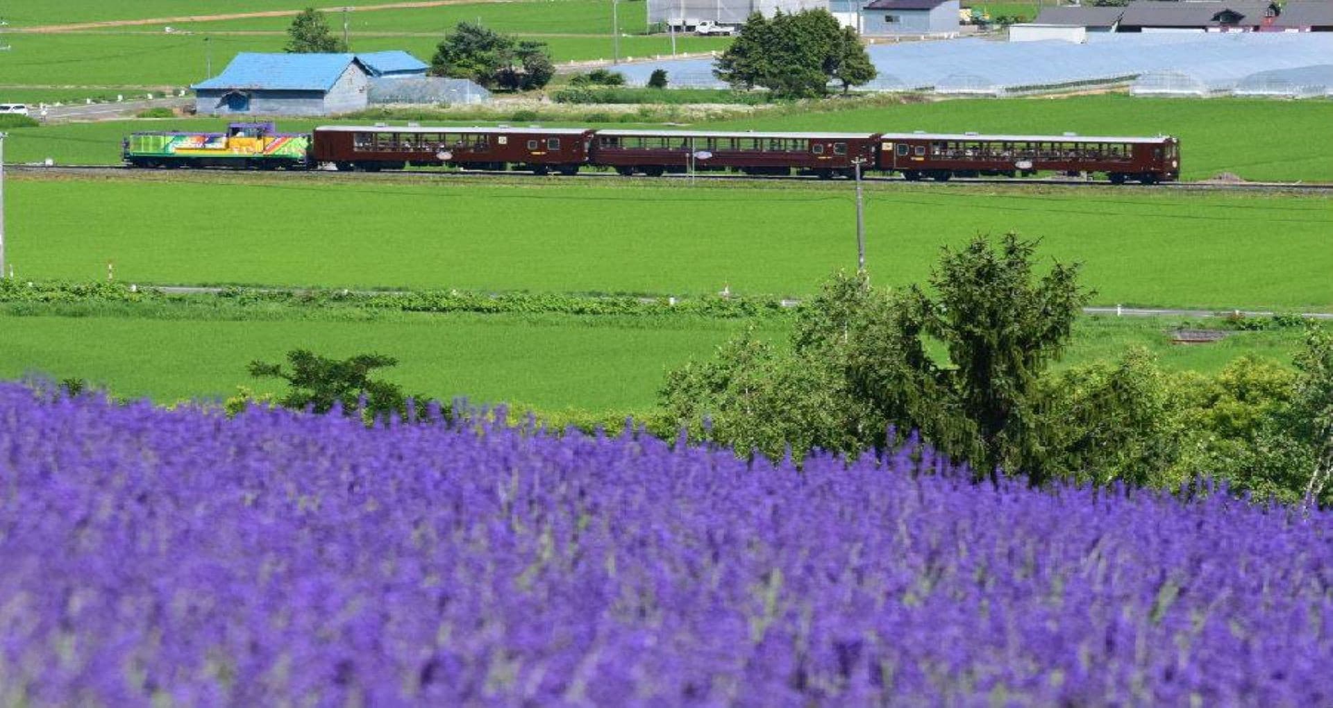 Hokkaido Sapporo-Noboribetsu Area Pass - تصویر 3