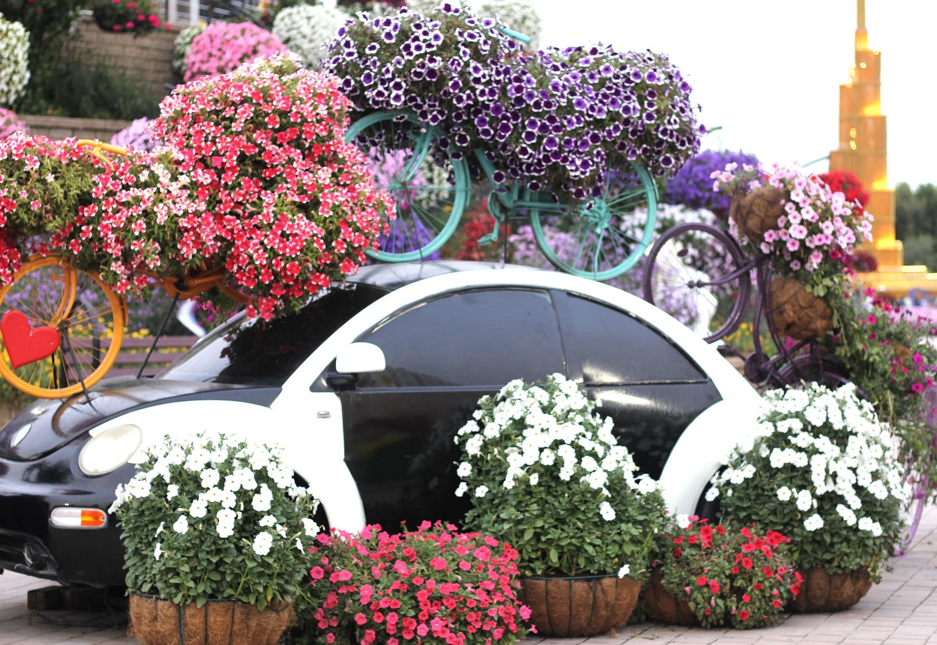 Dubai Miracle Garden Ticket - تصویر 11