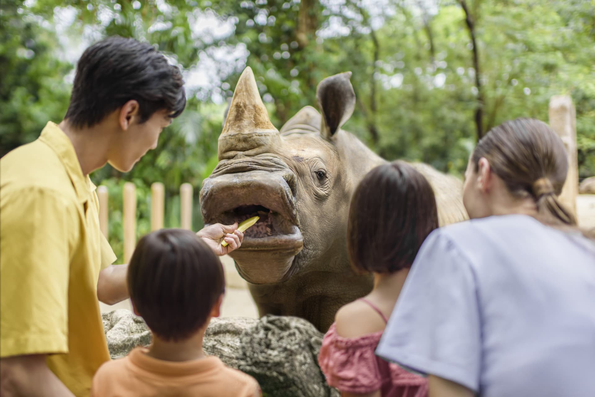 Mandai Destination Pass: Visit Up to 6 Attractions in 1 or 5 Days - تصویر 6