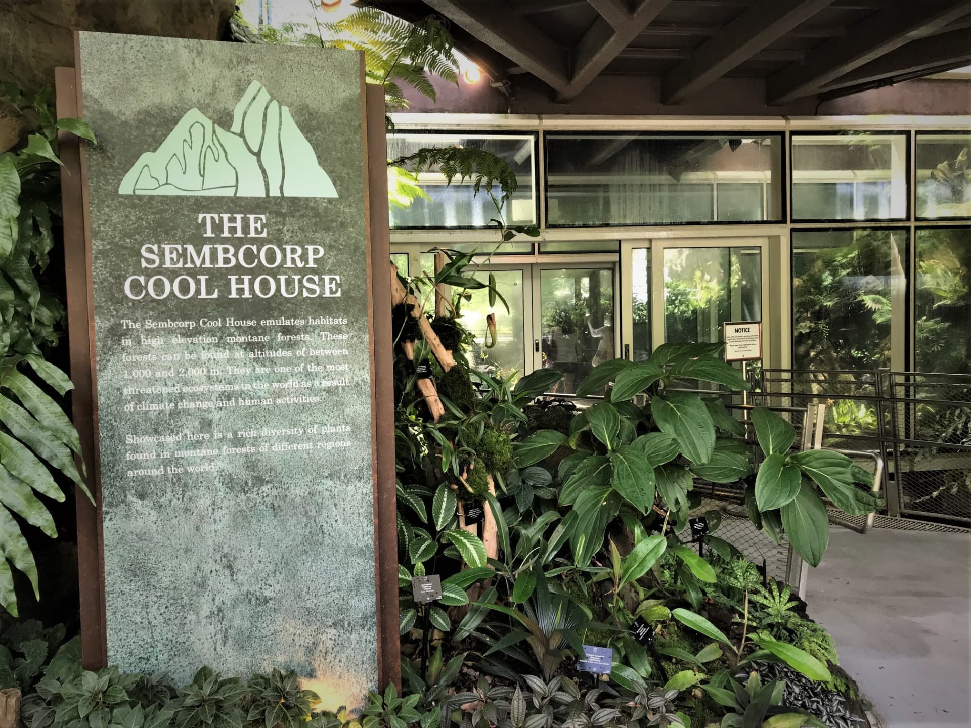 COMBO: Gardens by the Bay - Floral Fantasy + National Orchid Garden - تصویر 6