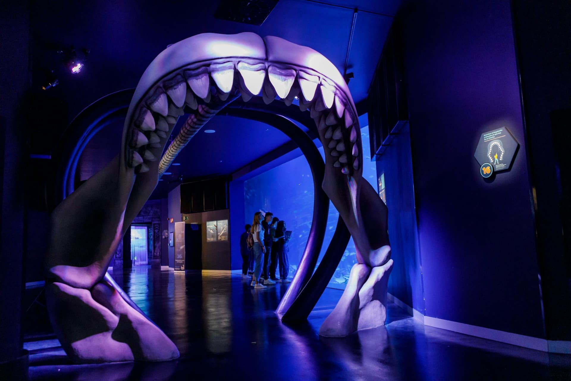 Atlantis Aquarium Madrid Ticket - تصویر 5