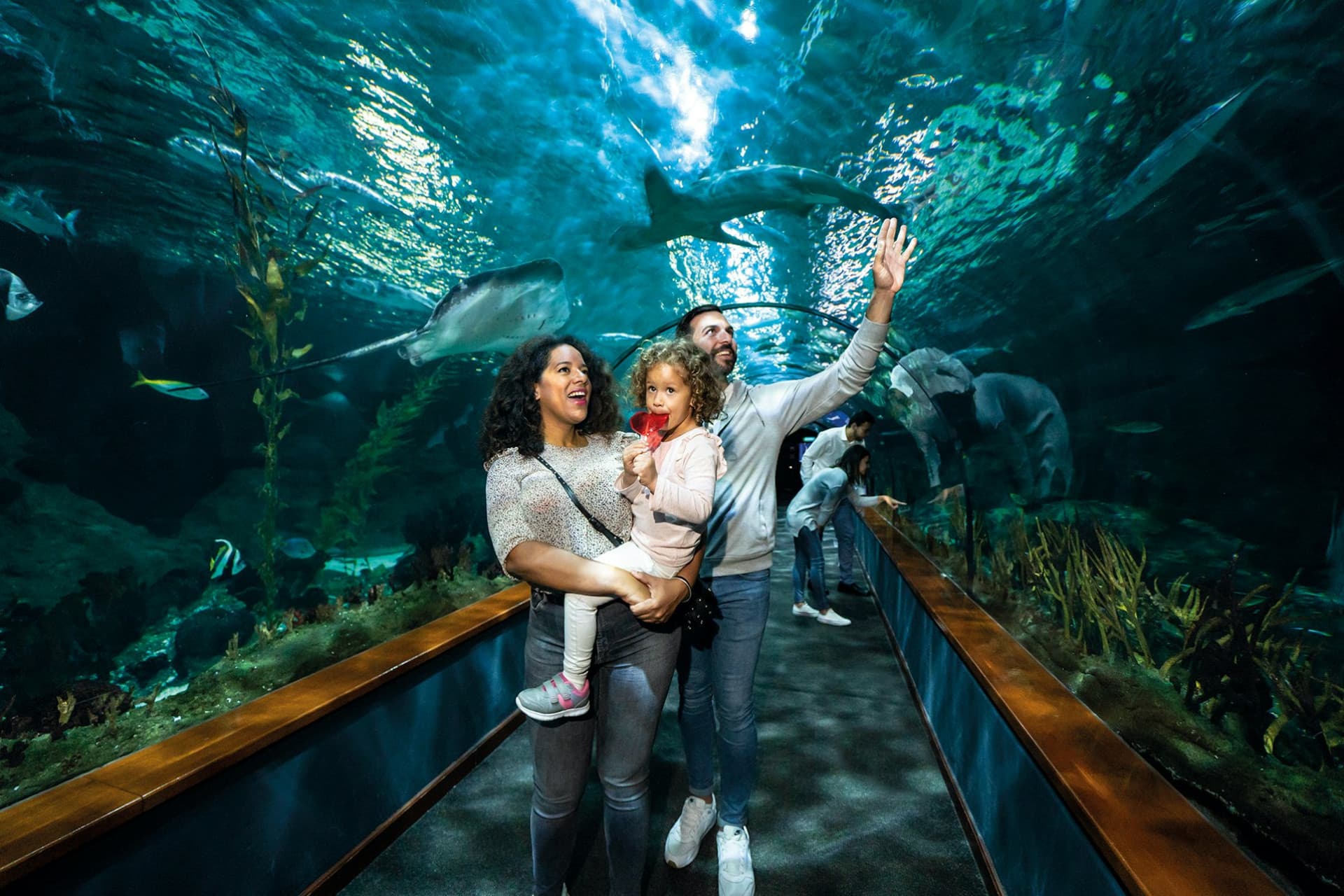 Loro Parque Ticket - تصویر اصلی