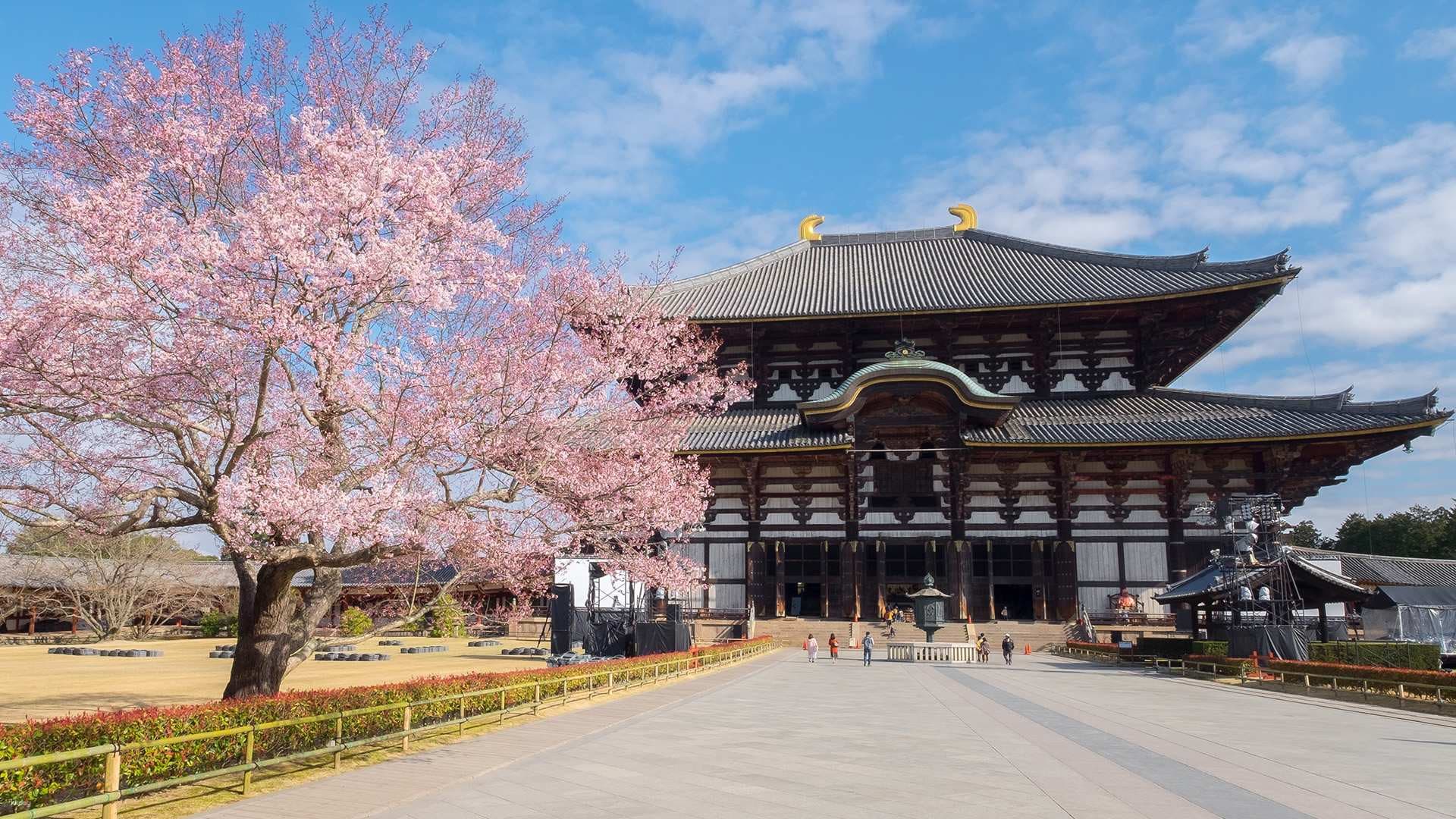 Kintetsu Rail Pass - Train & Bus Pass in Osaka, Nara, Kyoto, Mie (Ise Shima), Nagoya - تصویر 11