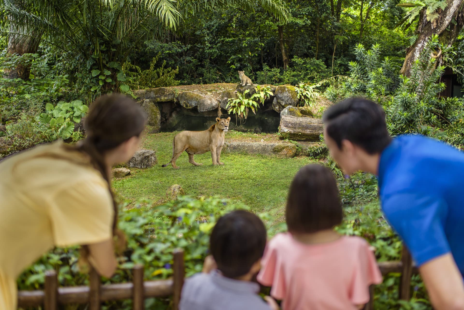 Singapore Zoo Ticket - تصویر 12