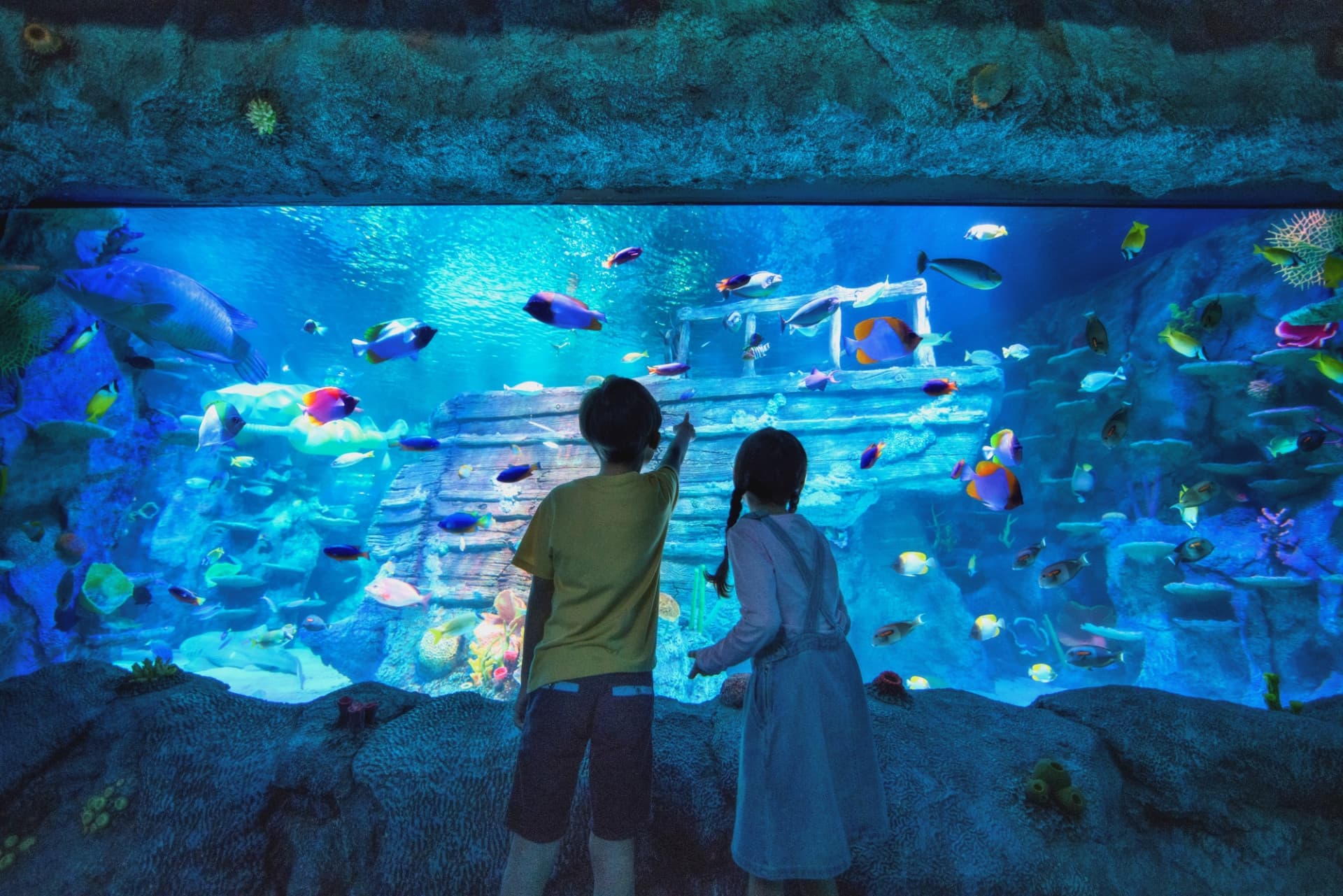 Go City Singapore Explorer Pass: Save up to 50% on Attractions - تصویر 2