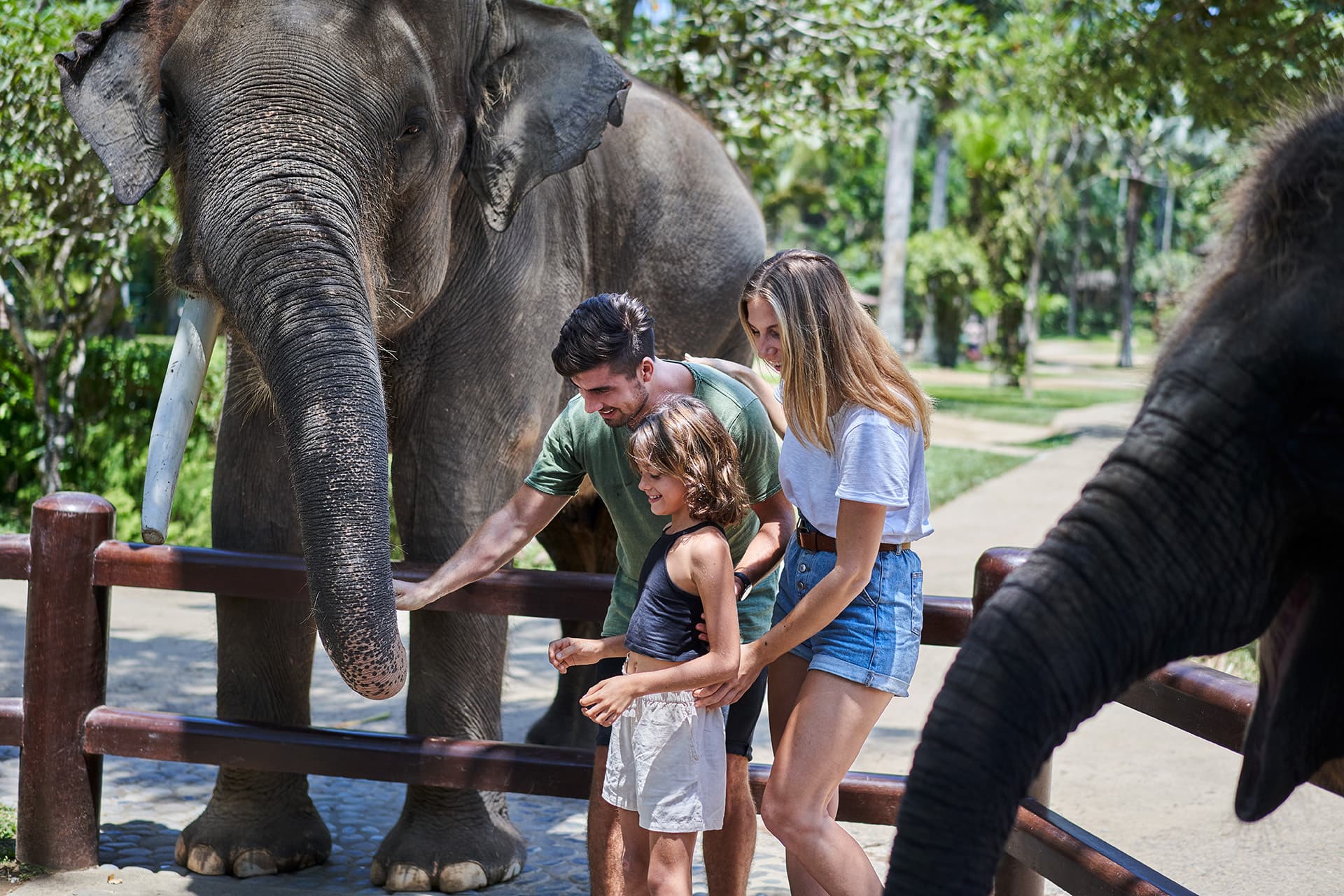 Mason Elephant Park Bali by Mason Adventures (Formerly known as Elephant Safari Park) - تصویر 4