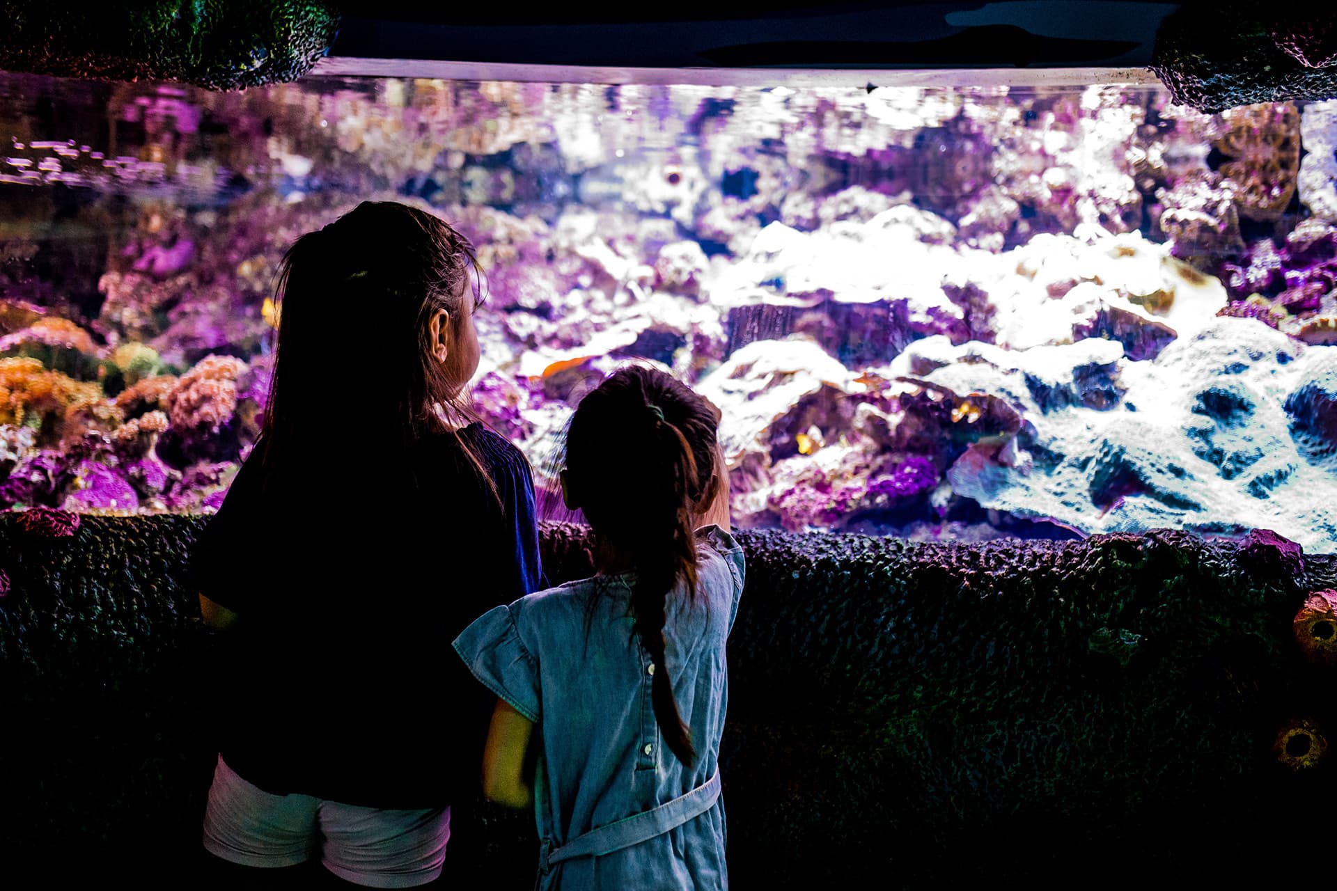 Sydney Multi-Attraction Pass - تصویر 7