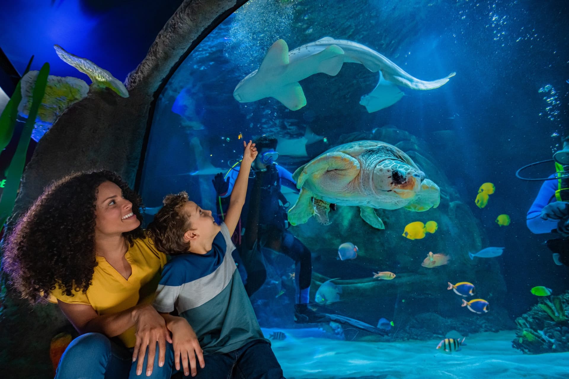 SEA LIFE Orlando Aquarium Ticket - تصویر 2