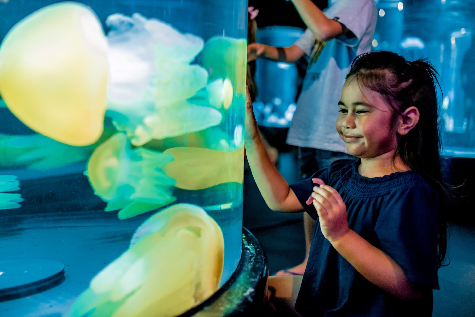 Sydney Multi-Attraction Pass - تصویر 6