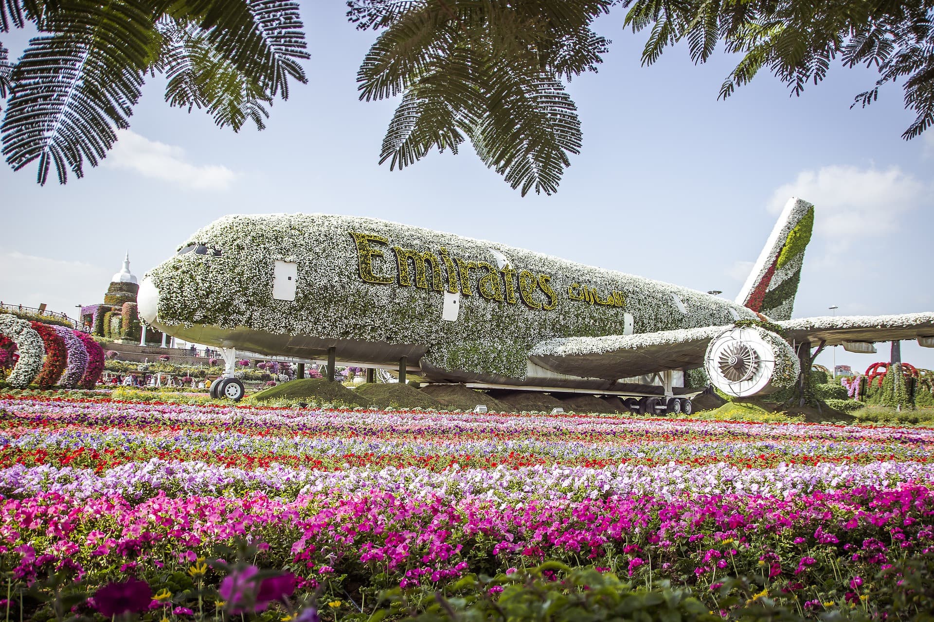Dubai Miracle Garden Ticket - تصویر 3