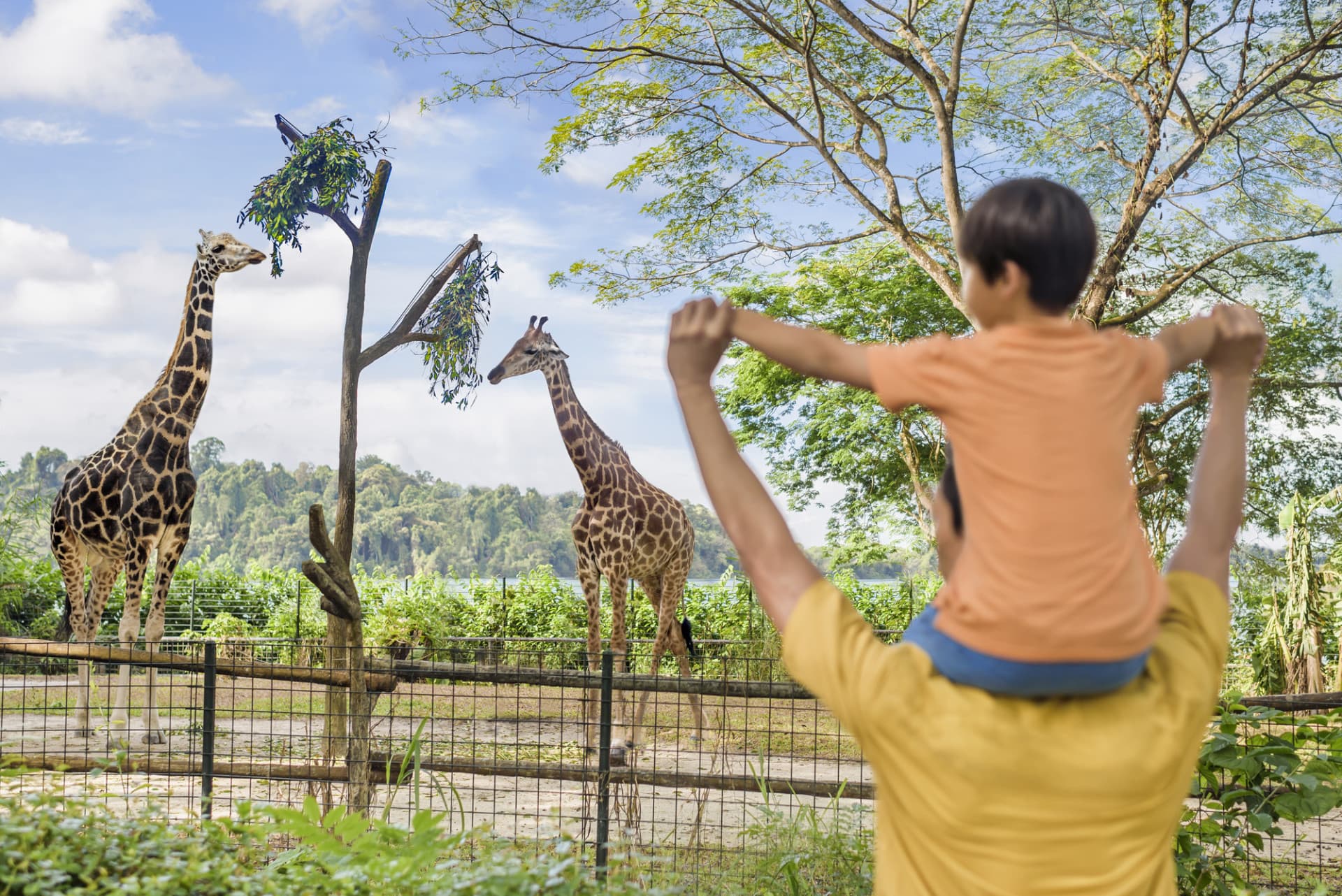 COMBO: Singapore Zoo + Breakfast in the Wild - تصویر 4