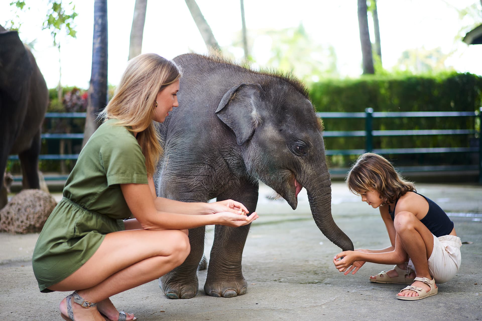 COMBO: Waterbom Bali + Mason Elephant Park Bali Tickets - تصویر 6