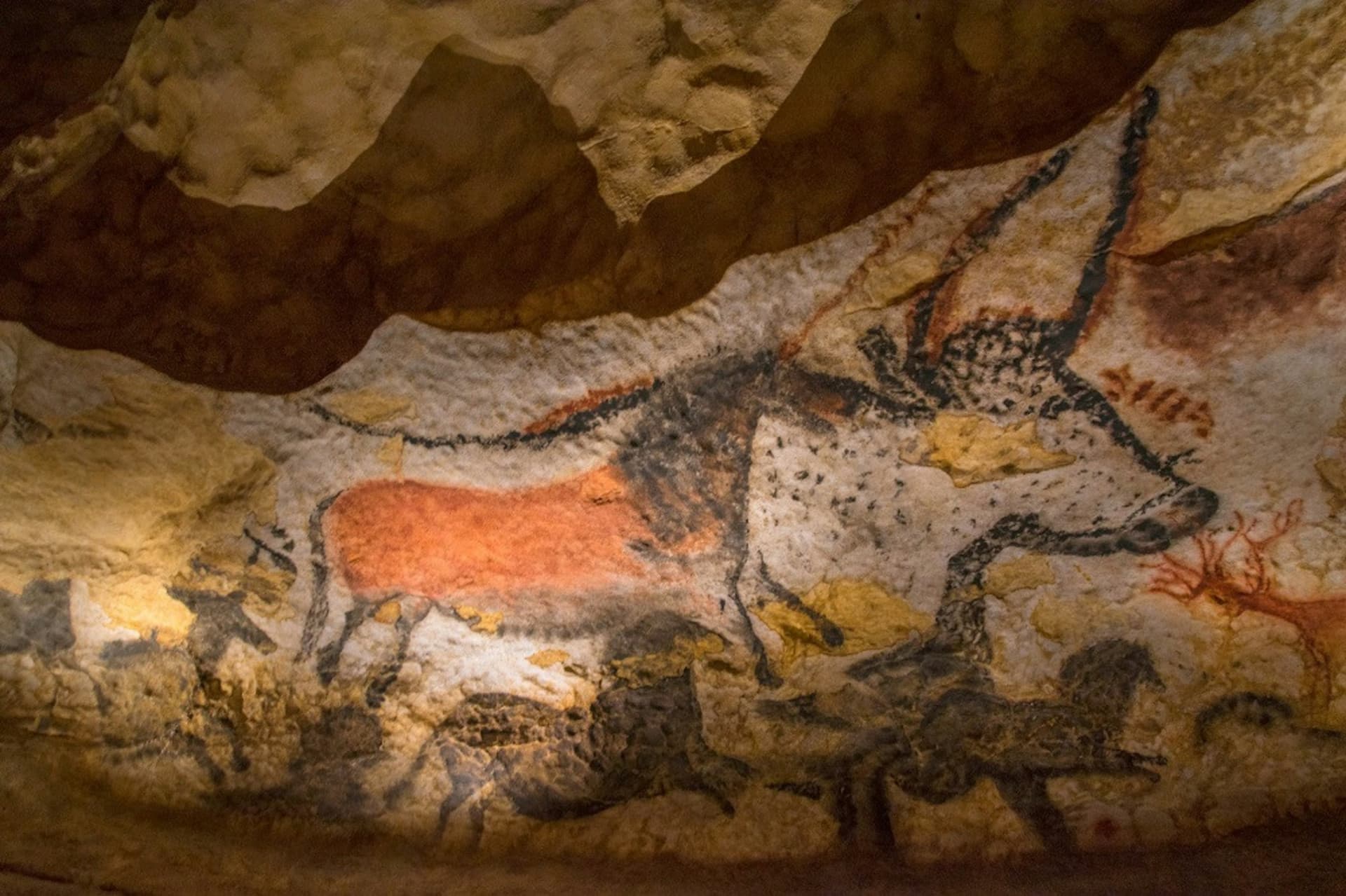 Lascaux II Guided Tour - تصویر 3