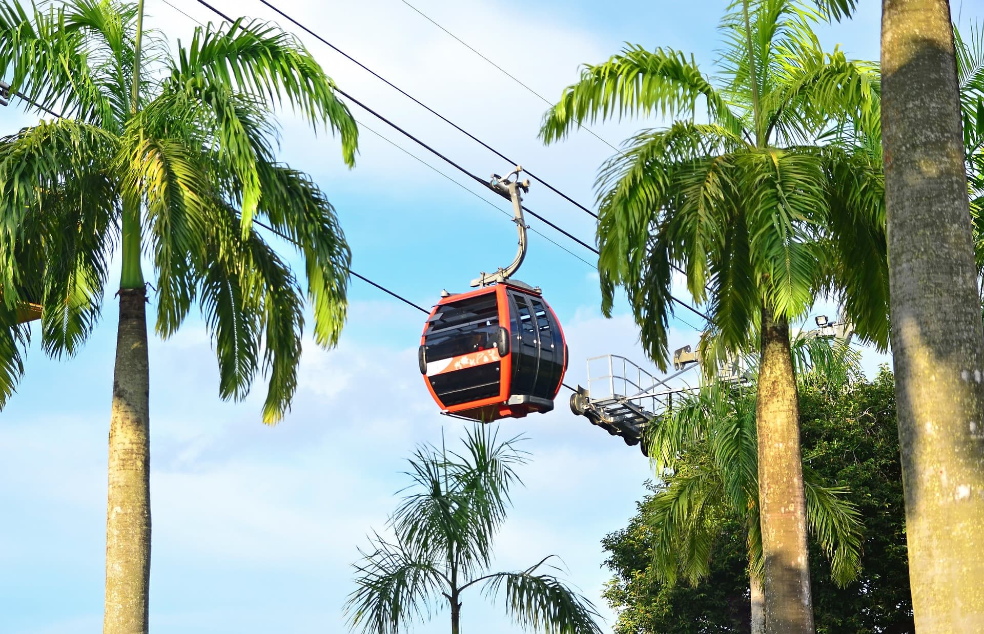 COMBO: Wings of Time Fireworks Symphony + Singapore Cable Car + Dining at Sentosa - تصویر 5