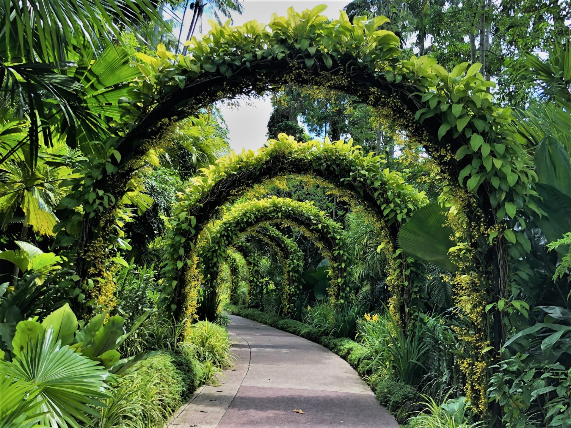 COMBO: Gardens by the Bay - Floral Fantasy + National Orchid Garden - تصویر 7