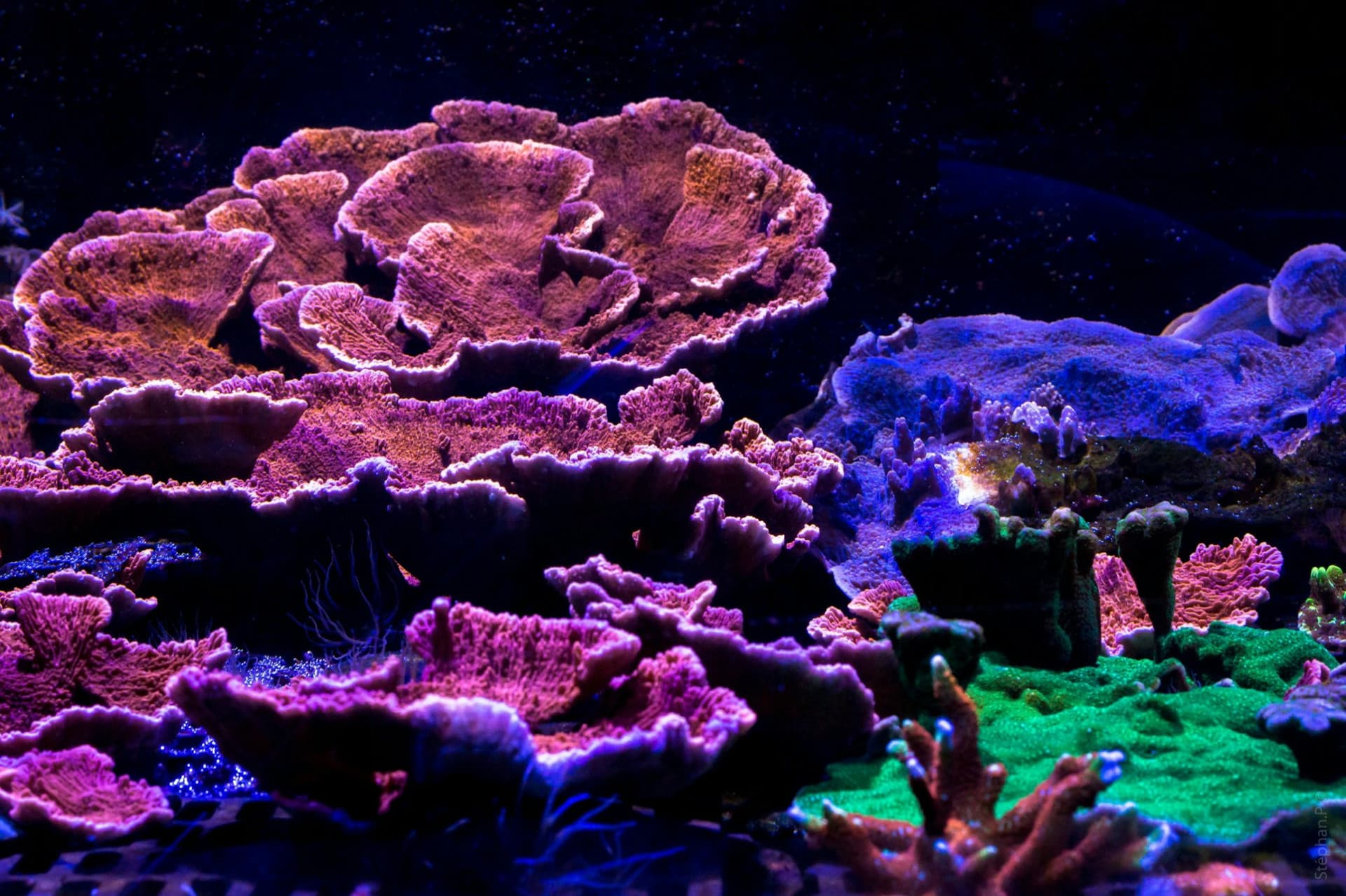 Nausicaa: Skip The Line Ticket - تصویر 13