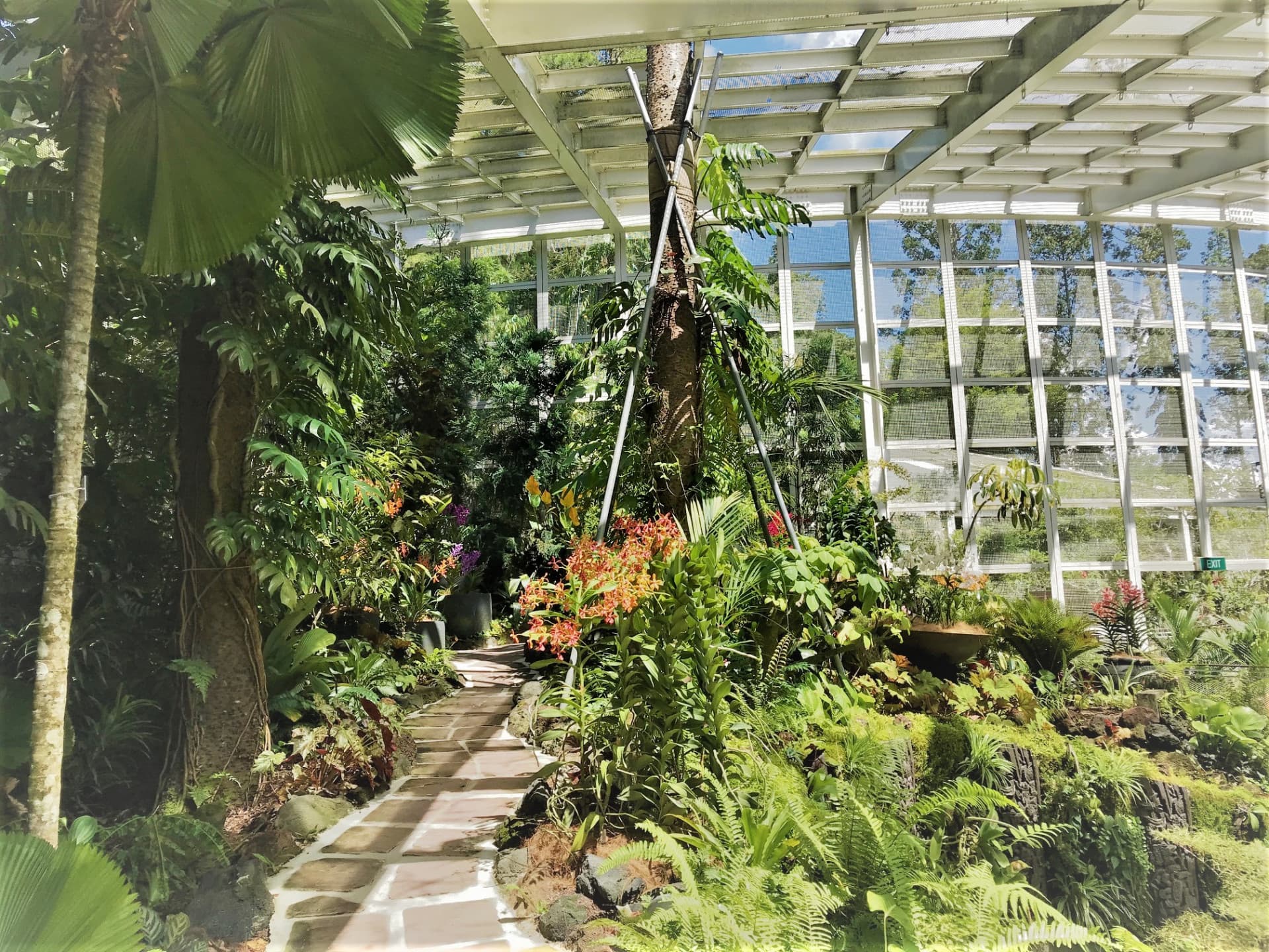 National Orchid Garden Ticket - تصویر 7