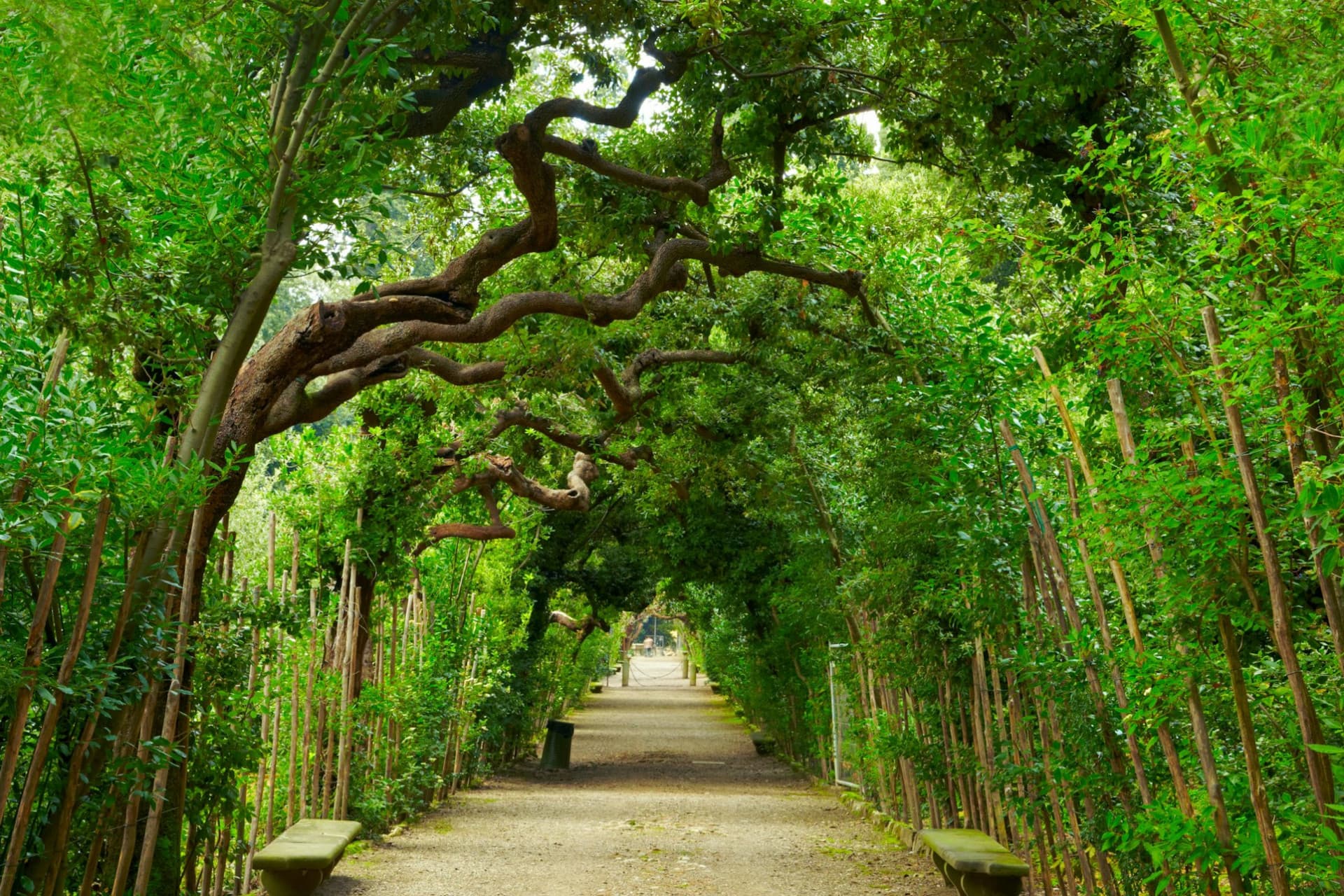 Palazzo Pitti & Boboli Gardens: Reserved Entrance + Florence City Audio Guide - تصویر 2