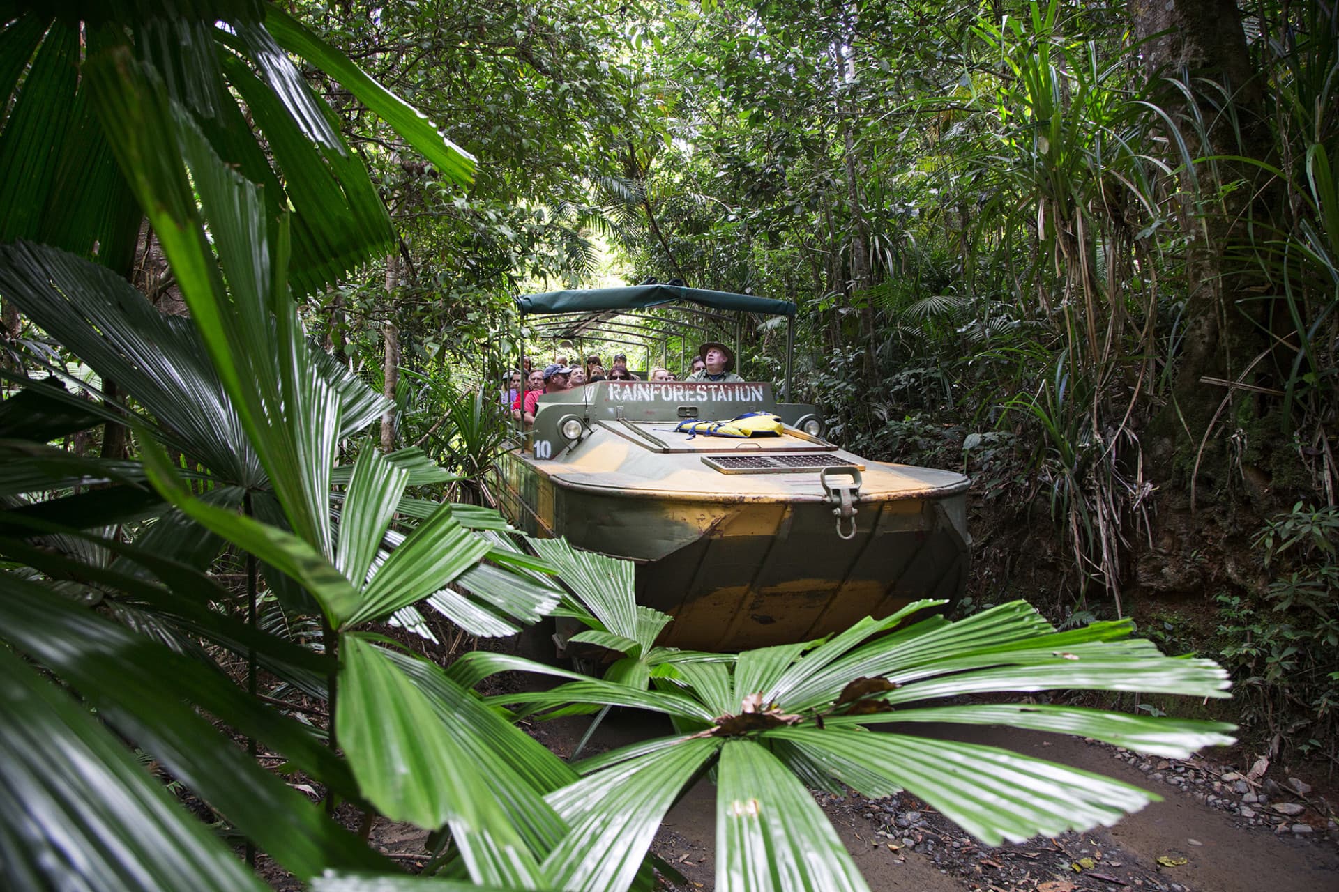 Kuranda Rainforestation Nature Park Full-Day Tour from Cairns - تصویر 5