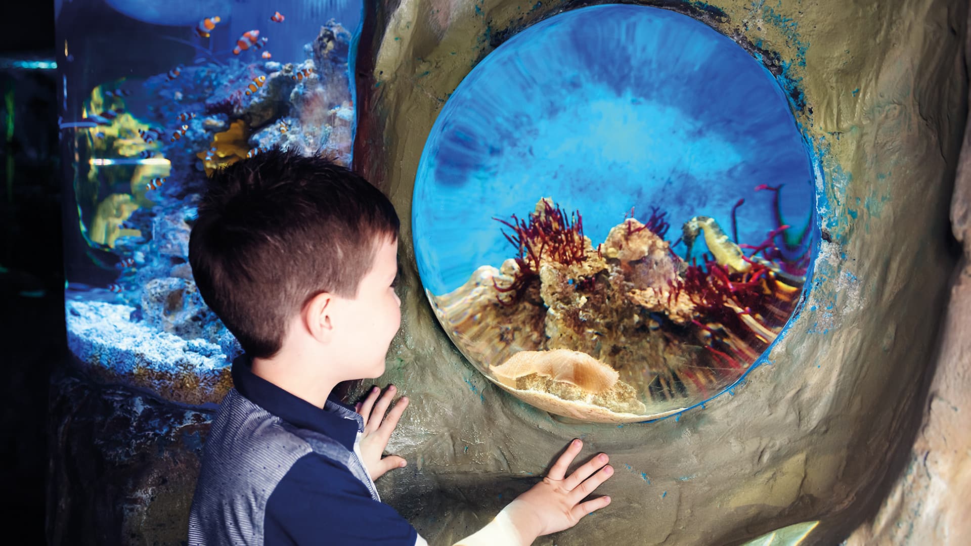 SEA LIFE London Aquarium Ticket - تصویر 4