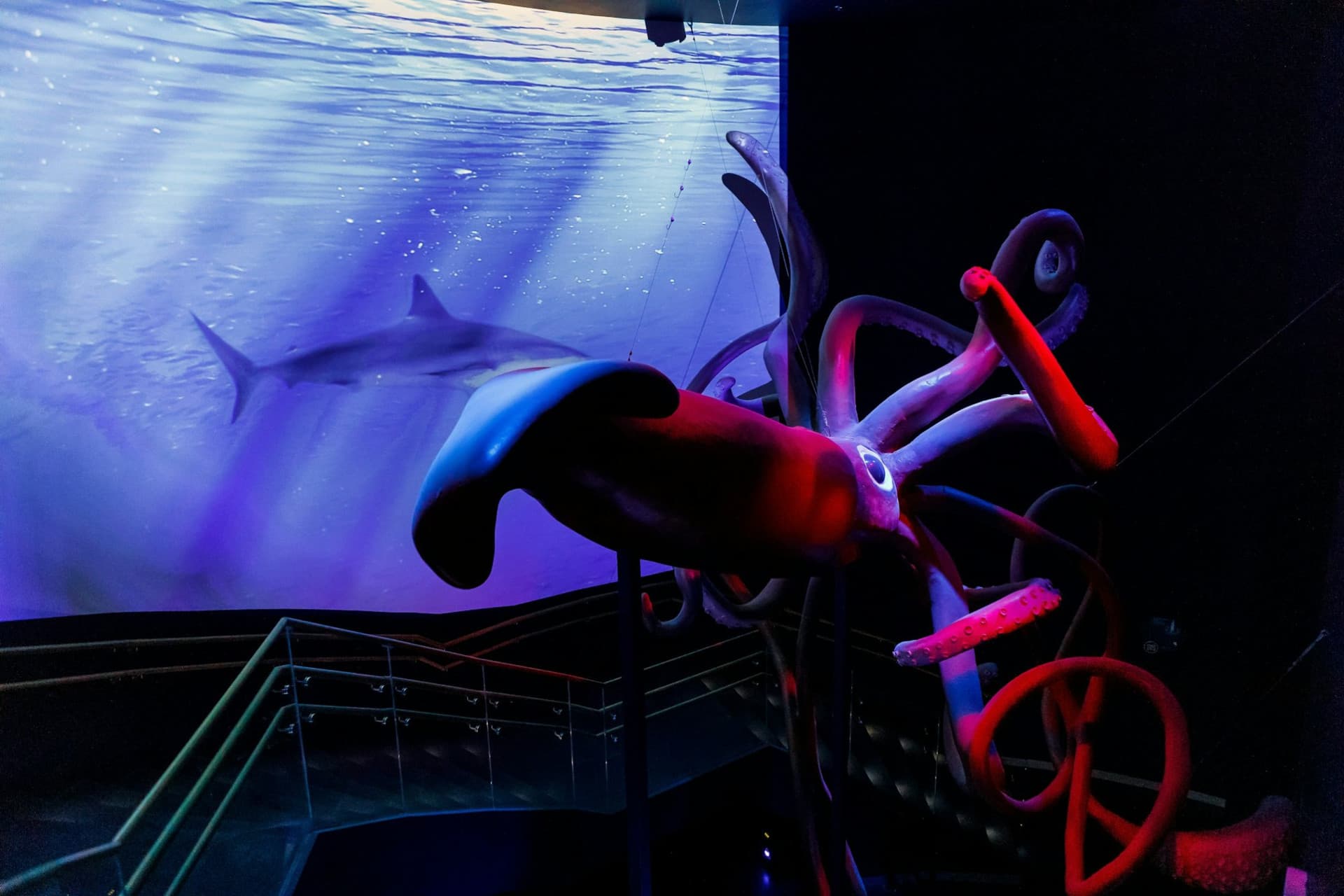 Atlantis Aquarium Madrid Ticket - تصویر 9